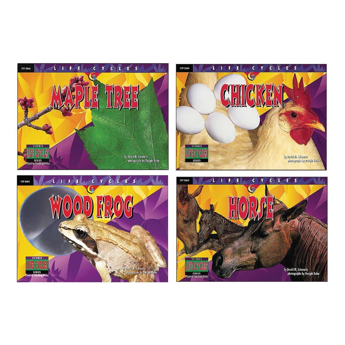 Creative Teaching Press Lifecycle Book Set