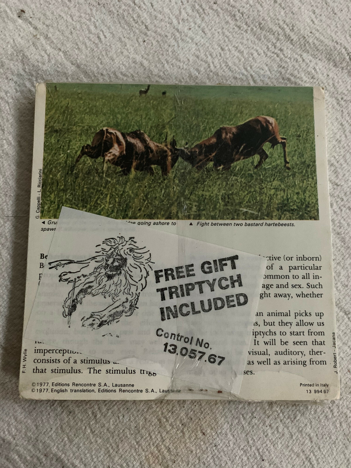 1977 Editions Rencontre S.A. Lausanne Animal Flash Cards Sea Lemon 24-Pack