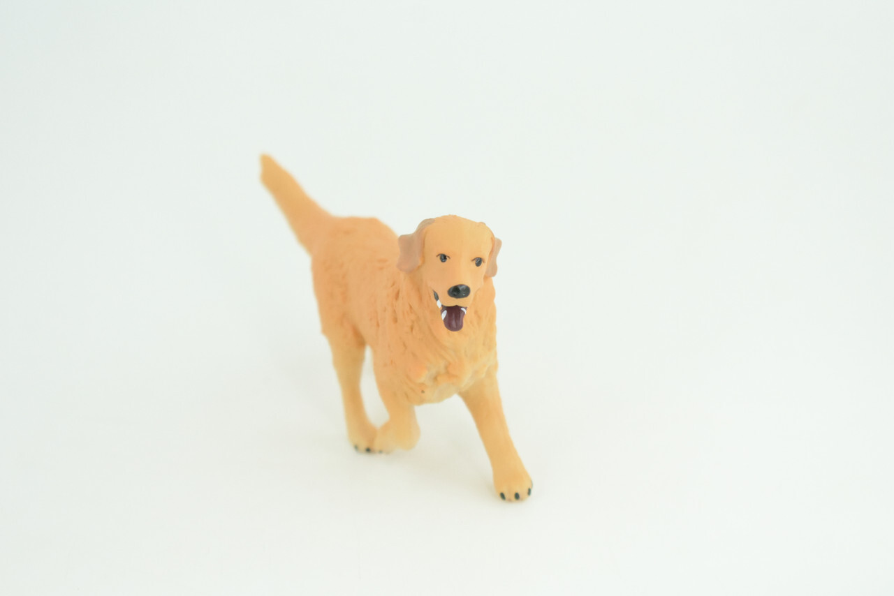 Golden Retriever Dog, Hand Painted Rubber Realistic Toy 4 Inches CH854 BB198