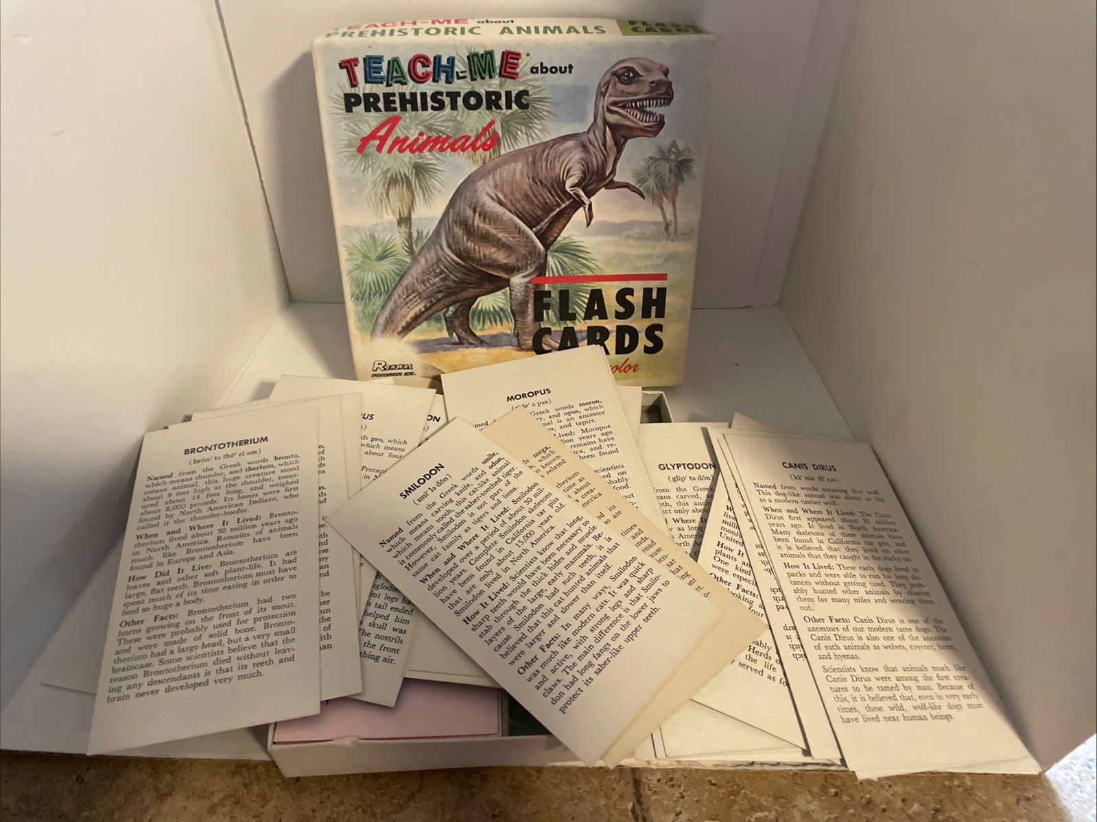 Vintage 1968 Teach Me Prehistoric Animals Flash Cards Dinosaurs 48 Cards