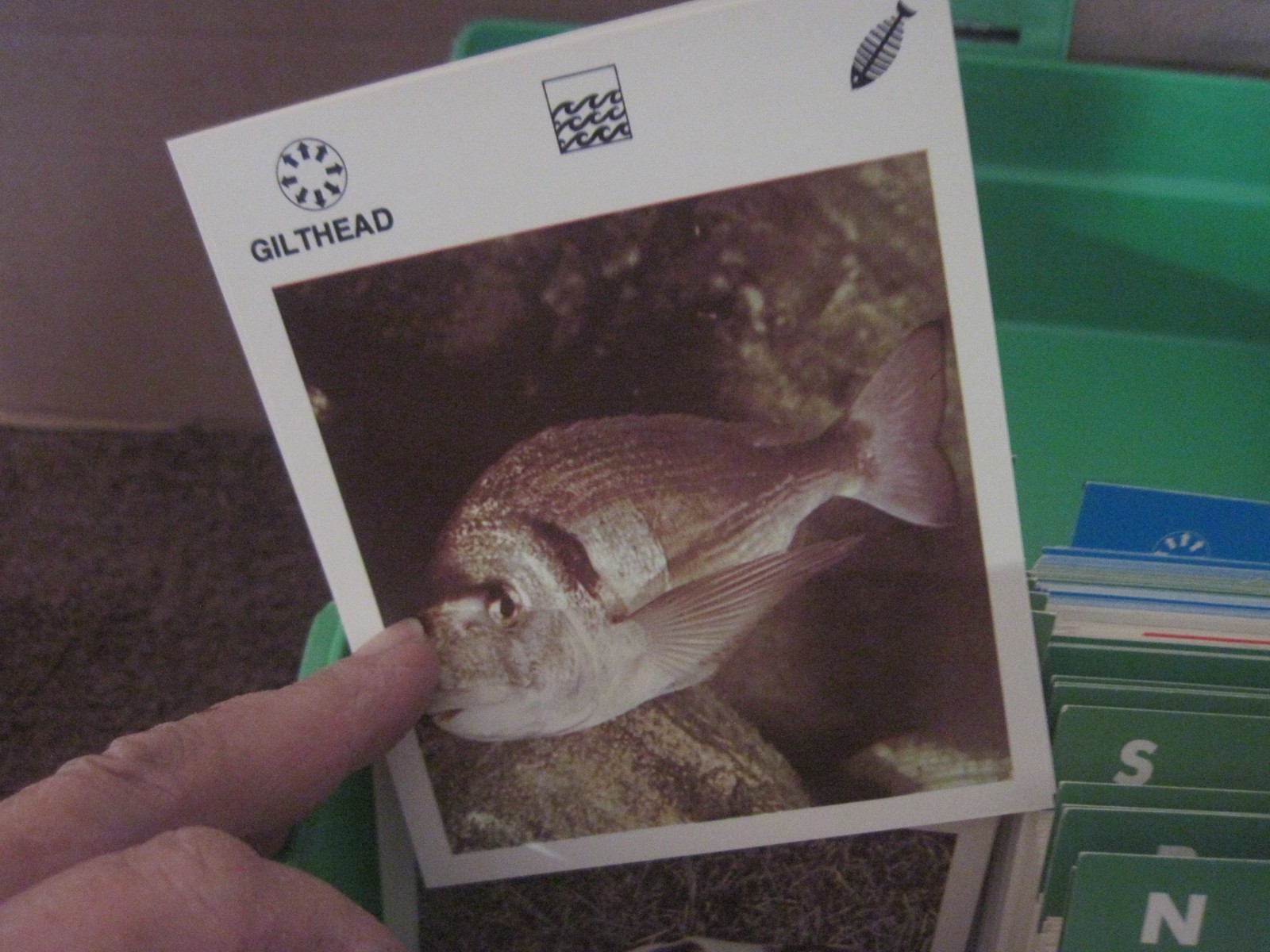 1970’s Illustrated Wildlife Treasury Animal Fact Cards & Carrying Case 400+ card