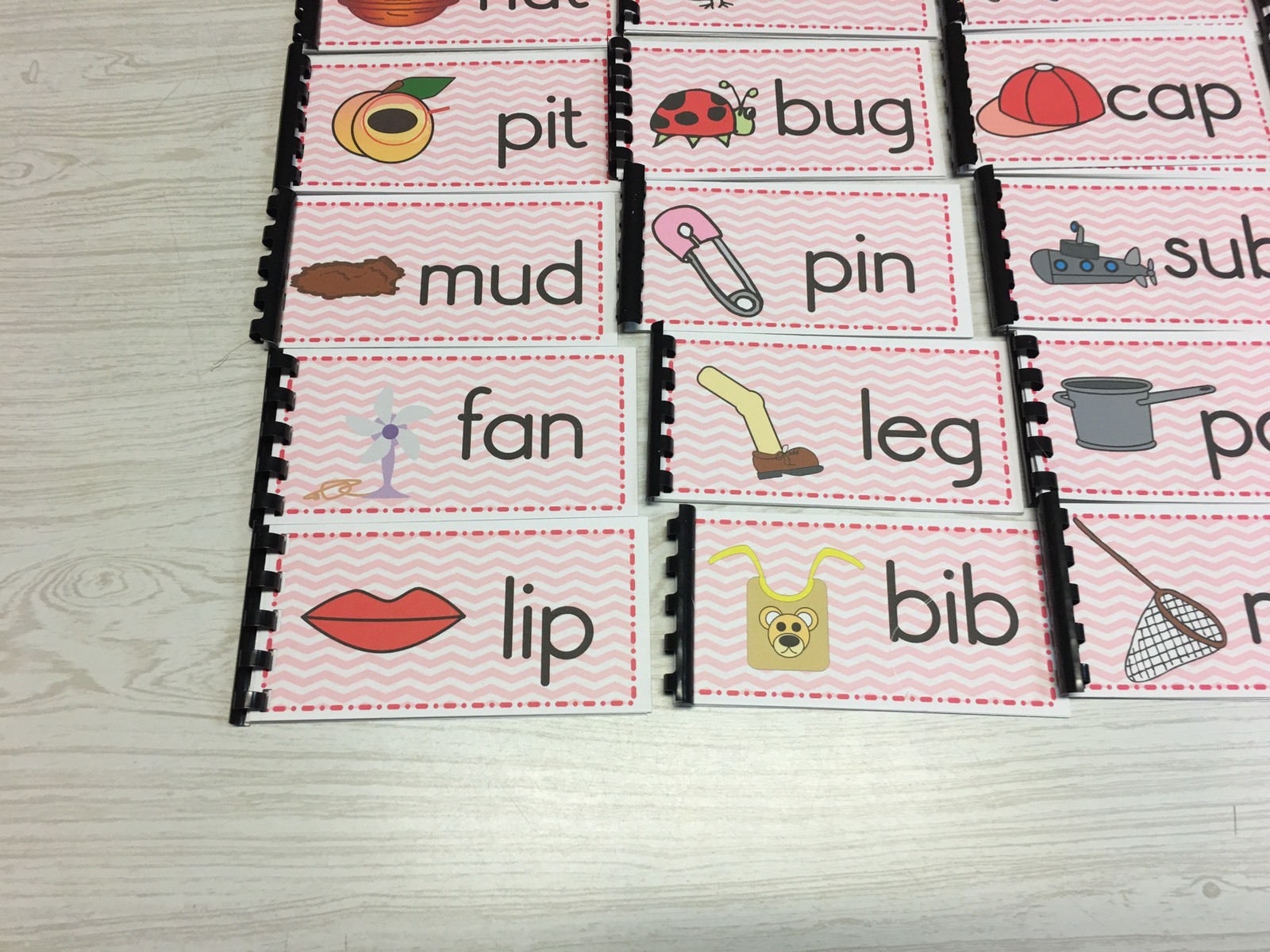 NEW Montessori Materials -The Pink Series – 24 CVC Word Families Booklets Pre-K