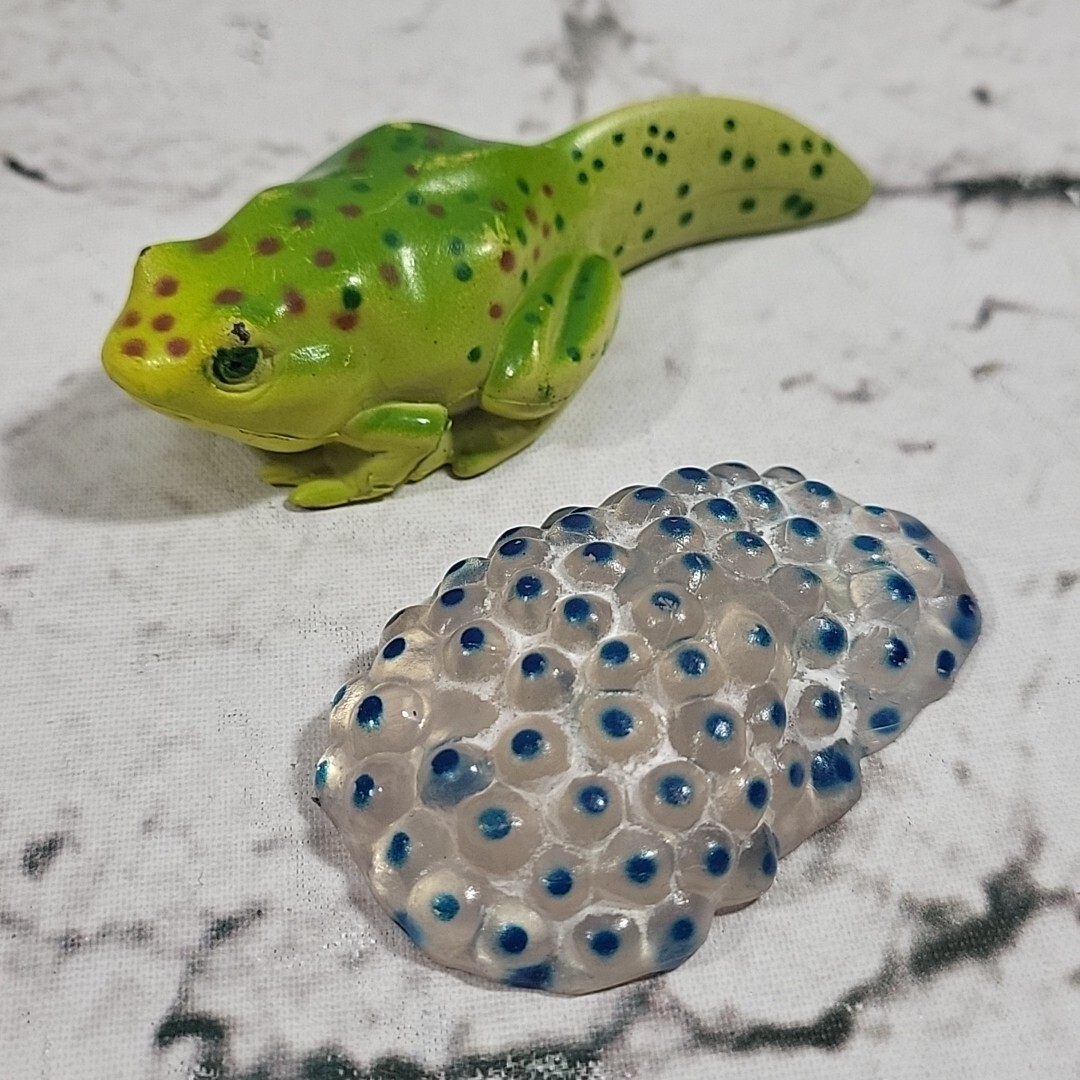 Jumbo Bugs Insects Figures Caterpillar Fly Tadpole Frog Eggs Science Nature Lot
