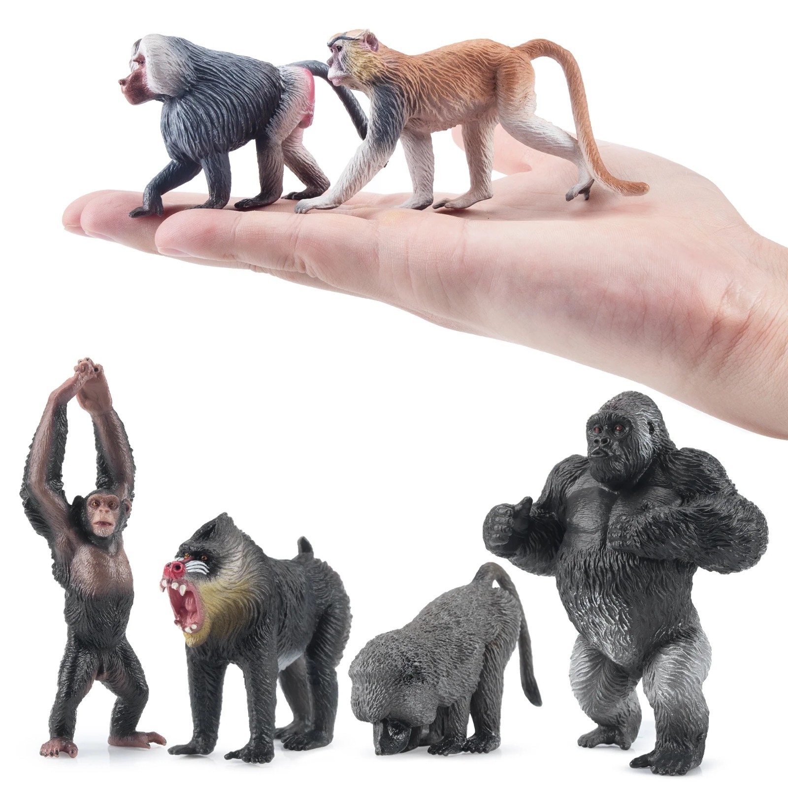 Toymany 15pcs Primates Animal Figurine Realistic Collectible Handpainted Toy Set