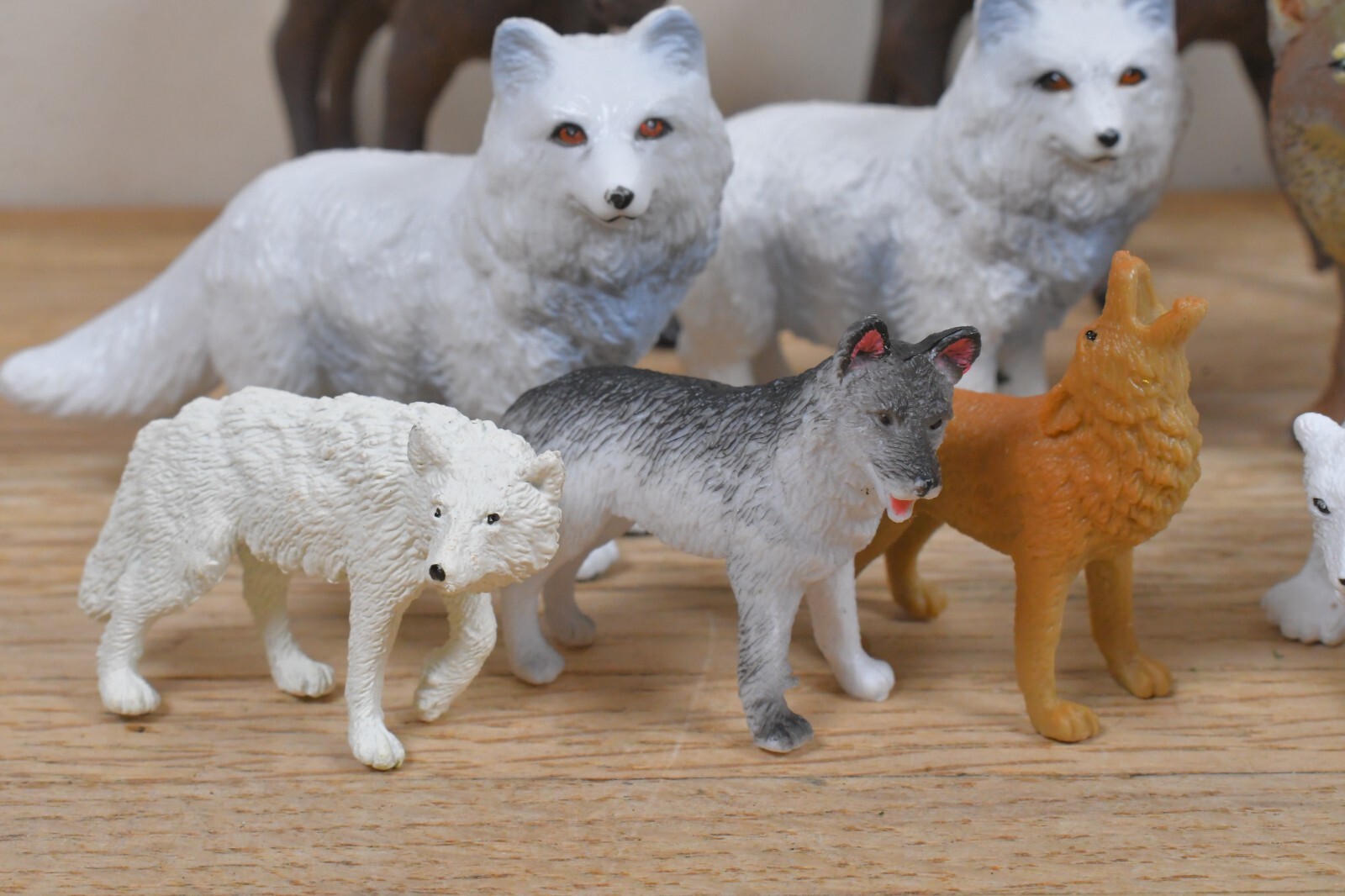 (55) Safari LTD Animal Figures 5.5″ to 2″ in Size