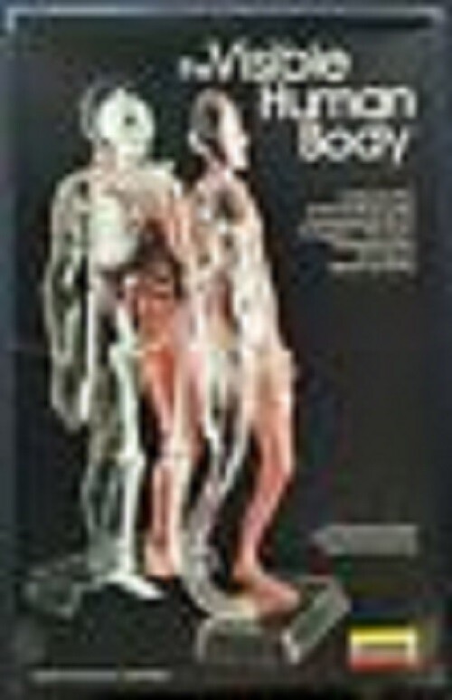 THE VISIBLE HUMAN BODY 1984 1/6 scale PLASTIC 3D MODEL KIT by LINDBERG