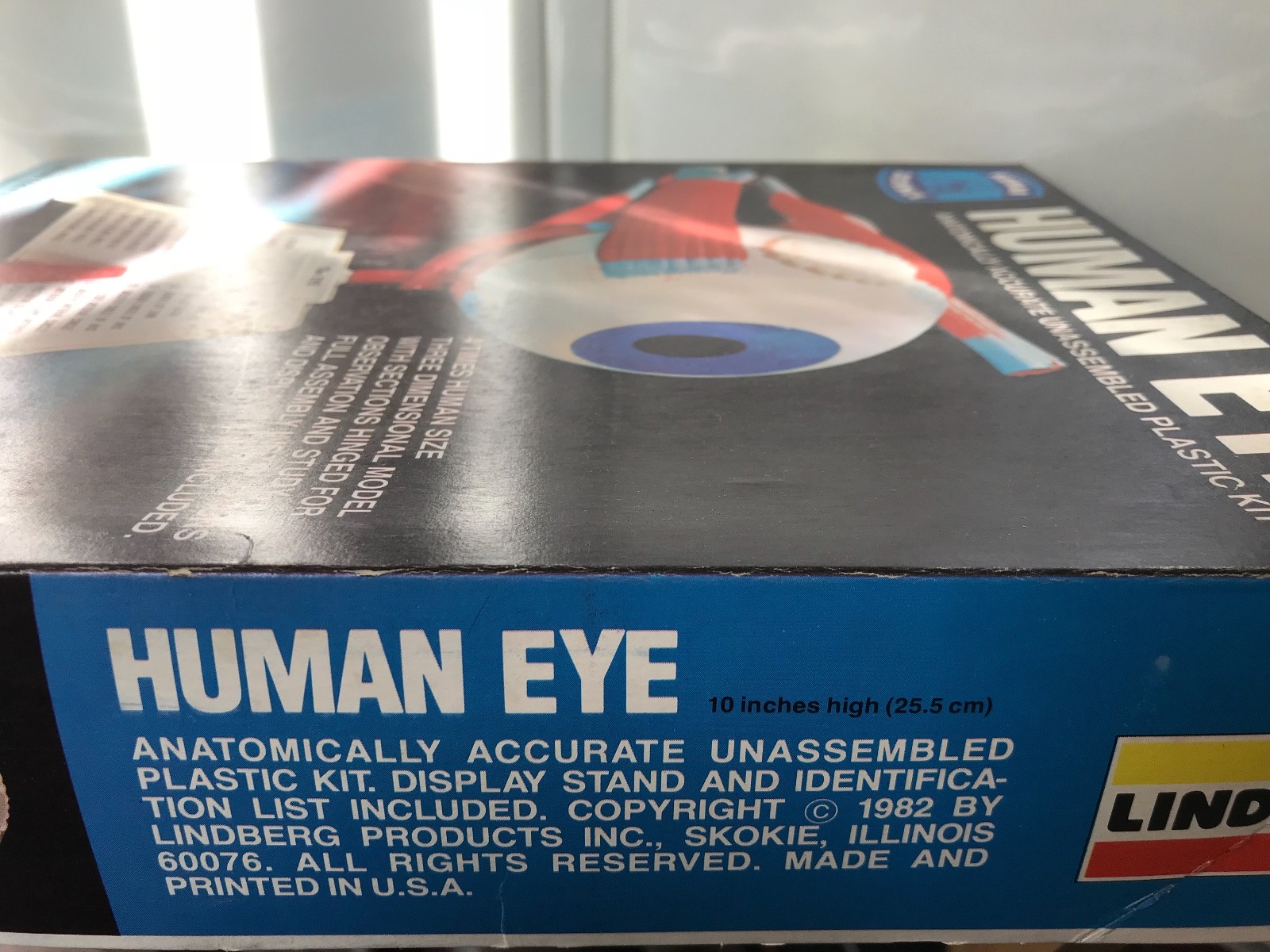 1982 LINDBERG Human Eye Anatomically Accurate UNASSEMBLED Plastic Model Kit 1336