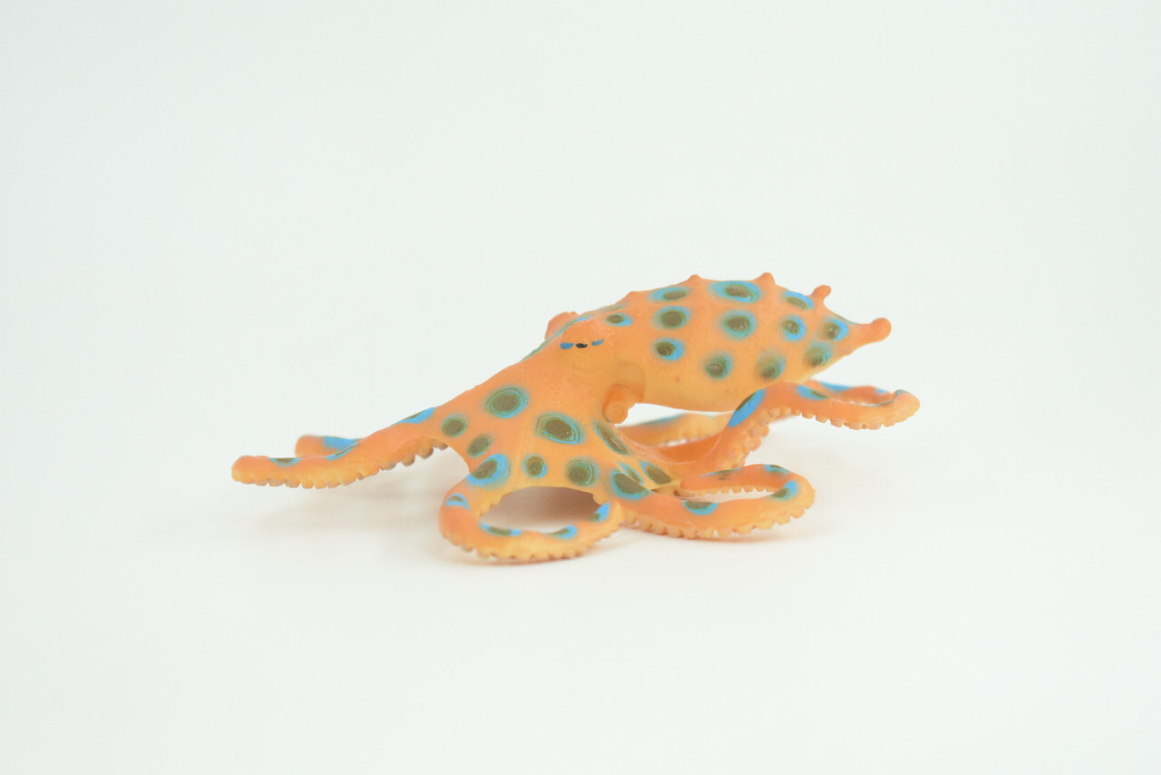 Blue Ringed Octopus Toy, Realistic Hand Painted Rubber Model, 4 1/2″ CH850 BB197
