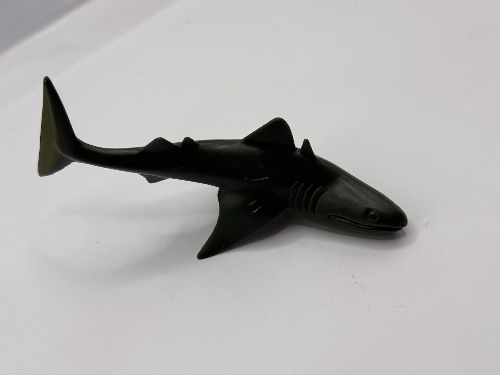 Safari Ltd Extinct Shark Cladoselache PVC Plastic Toy Figure Prehistoric Toob