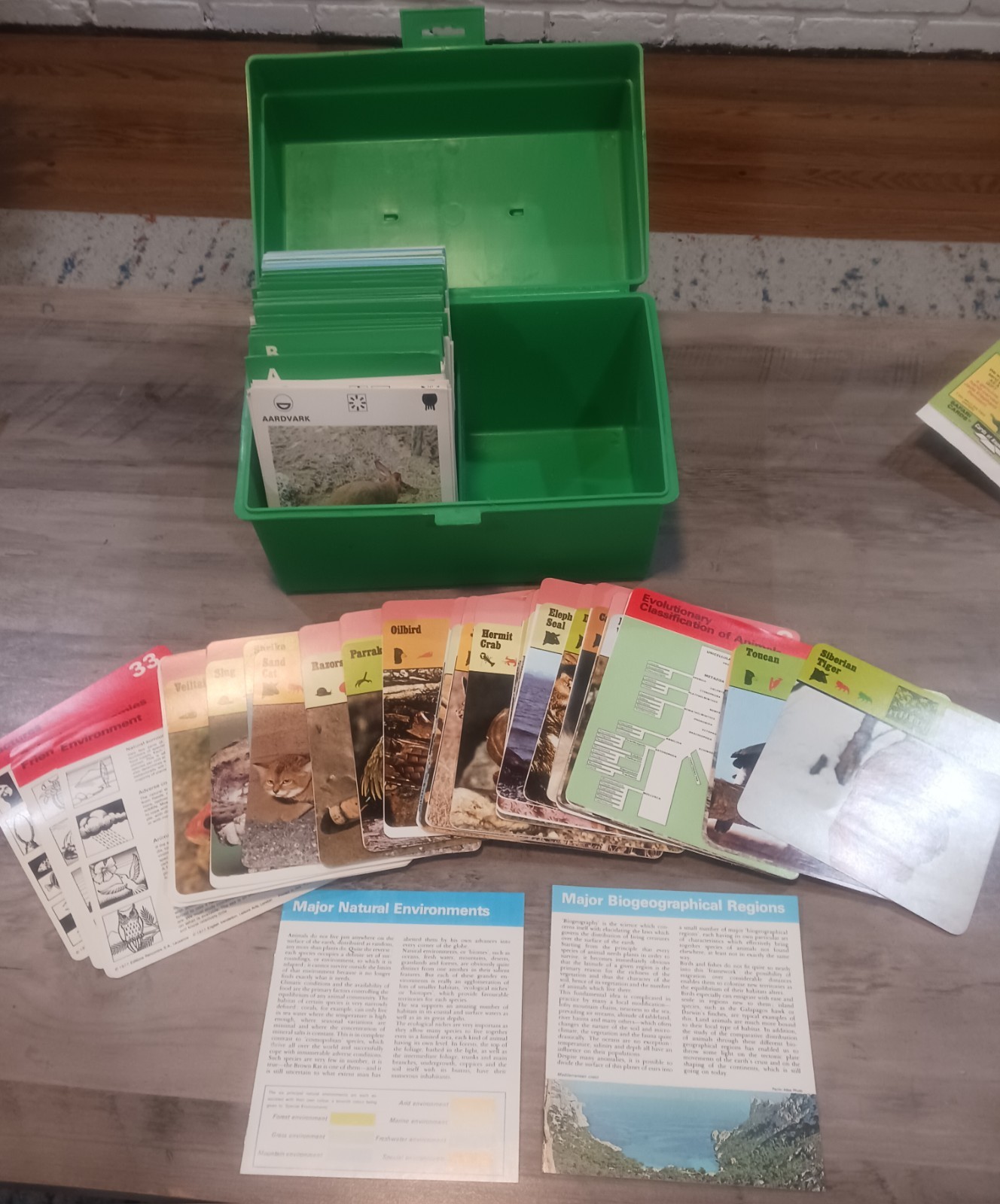 Vtg 1970s ILLUSTRATED WILDLIFE TREASURY Box & Recontre, Approx 500 Cards Extras