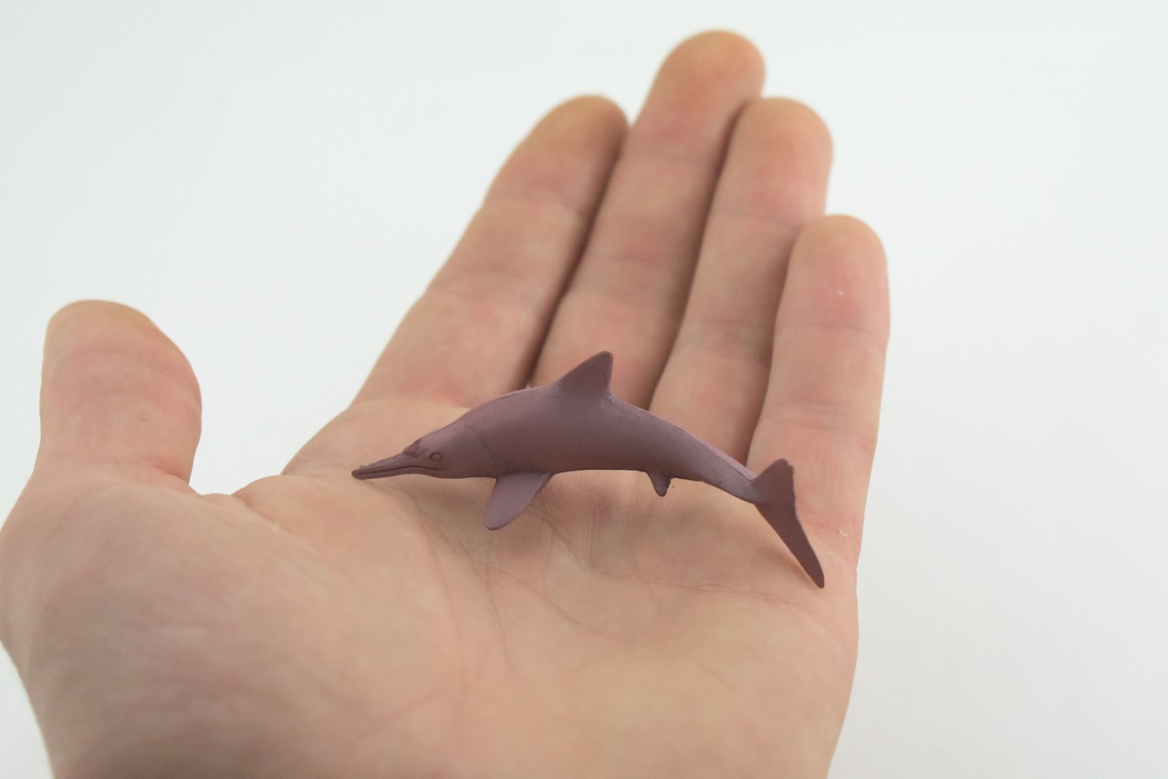 Toy Pink Dolphin, Indo-Pacific Humpback Dolphin, Realistic 2.5 Inches CWG50 B197