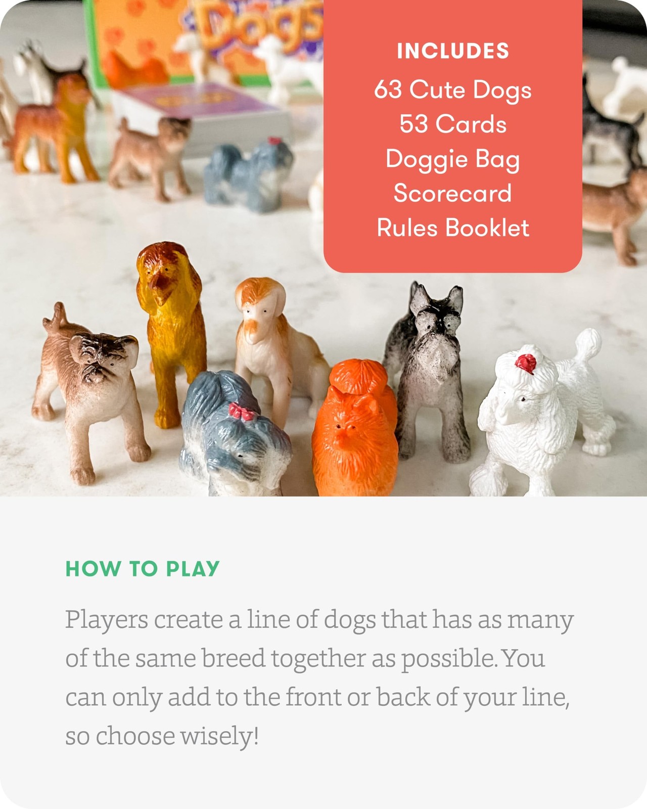 SimplyFun Walk The Dogs Math Game – One of The Most Fun Games for Kids Ages 8…