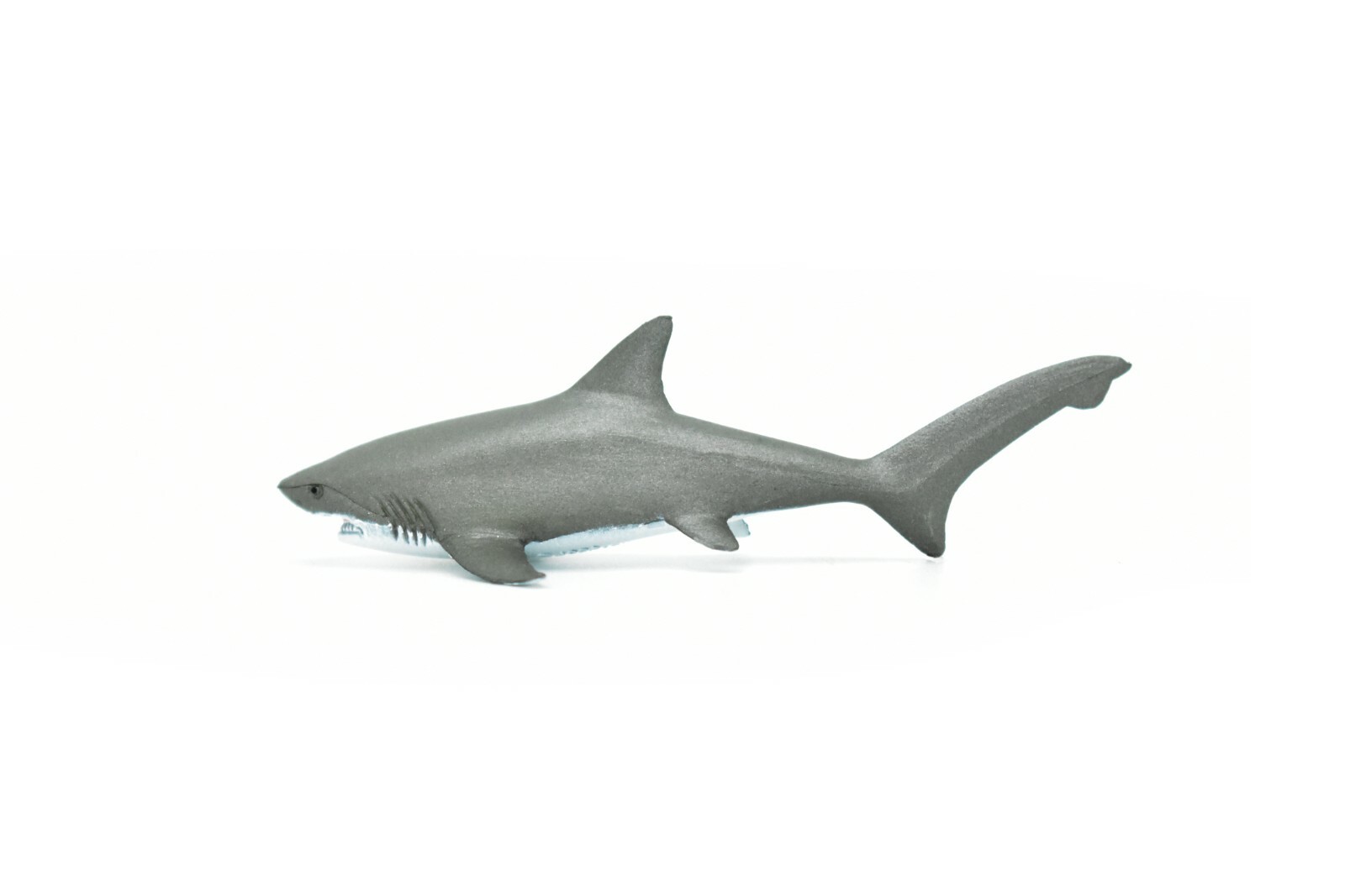 Thresher Shark, Very Nice Plastic Replica 3″ – F1012 B118