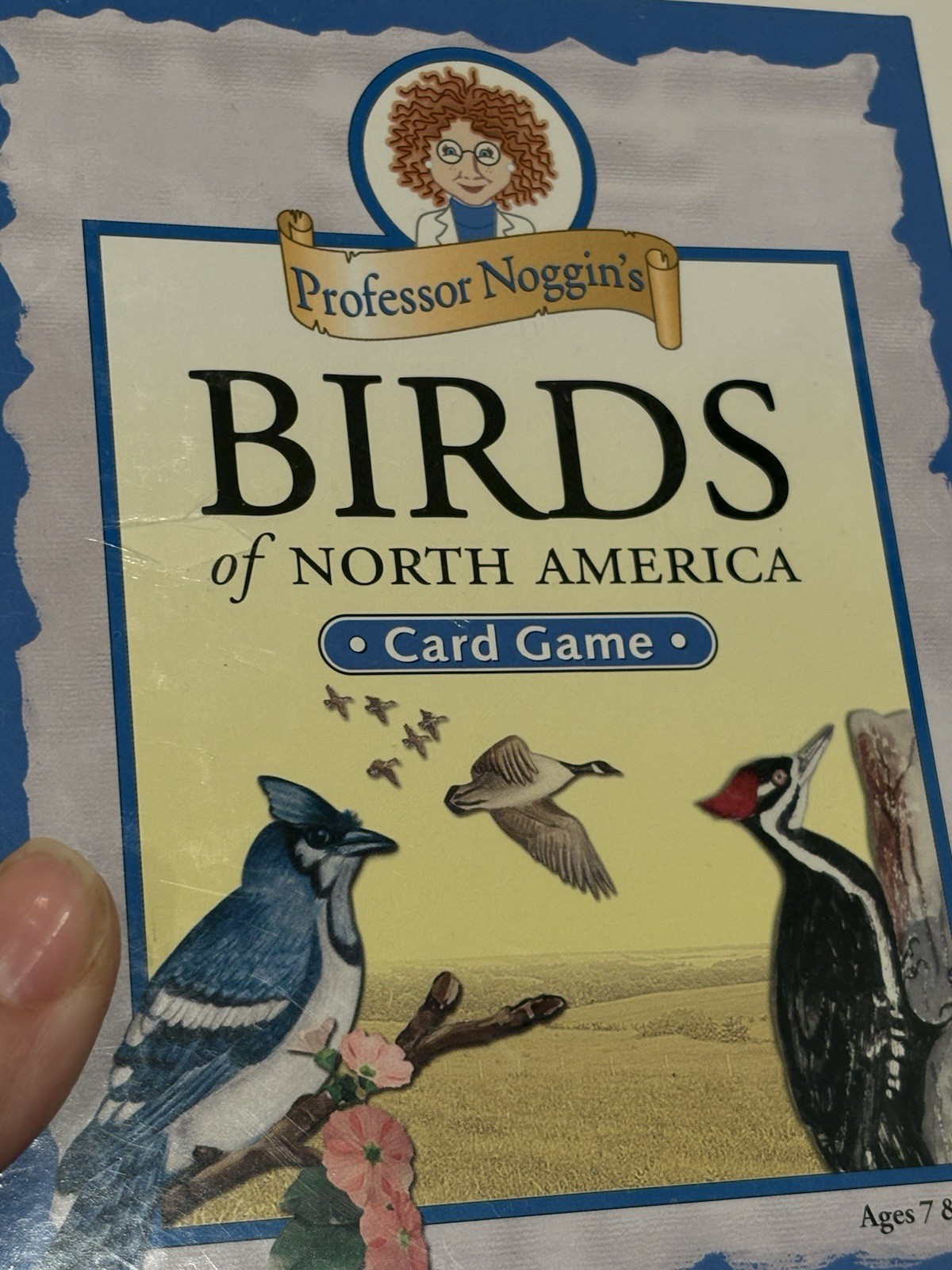 NEW Lot of 2 Professor Noggin’s Card Games National Parks & Birds North America