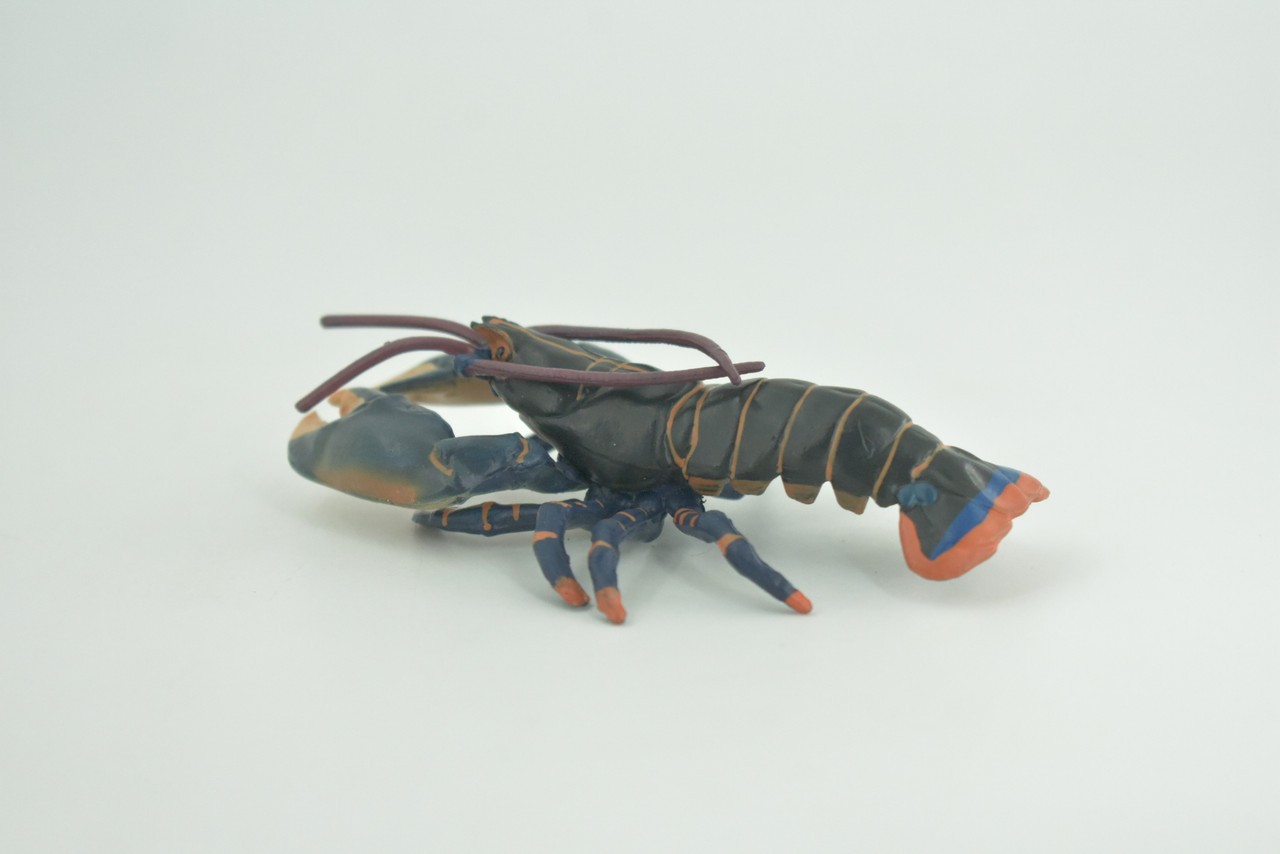 Boston Lobster Toy Museum Quality Rubber Hand Painted Gift, 4 Inches CH1002BB218