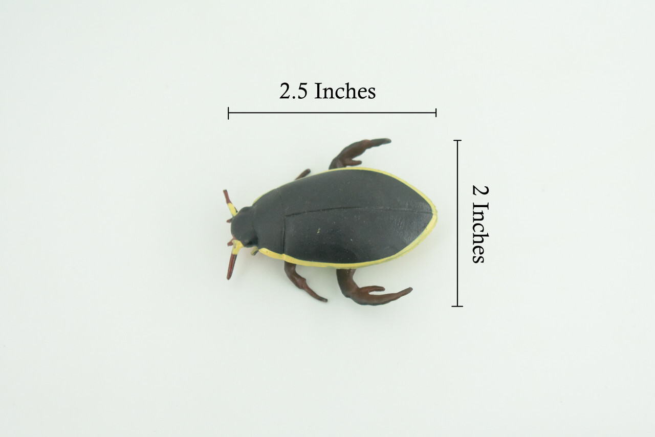 Yellow Edged Diving Beetle Toy Realistic Hand Painted Rubber 2.25″ CH857 BB198