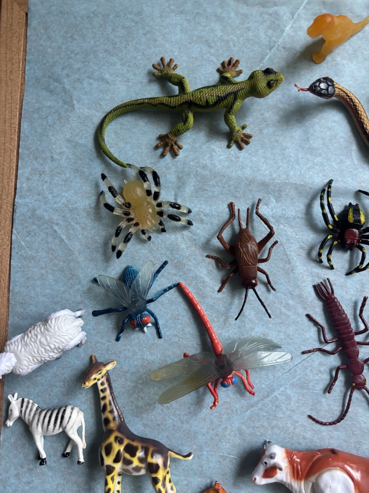 Bulk Lot of 36 Plastic Toy Animals & Bugs – Frogs, Snakes, Lizards, Insects