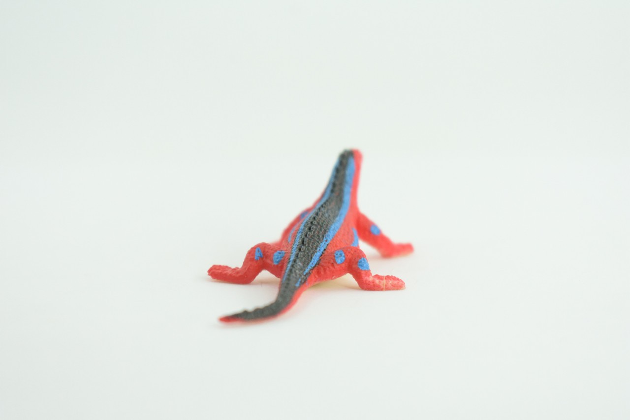 Red Head Agama Toy, Rainbow Lizard, Realistic Hand Painted Rubber, 2.5″ WR41B197