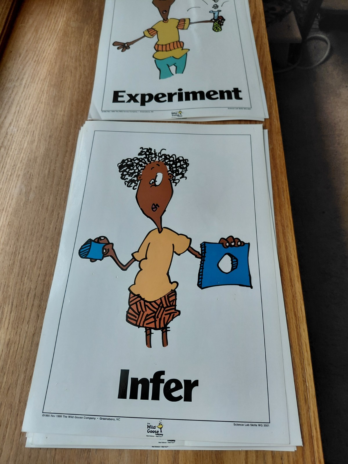 1995 Science Classroom 10 total Poster Set Used by Wild Goose Company 11 x 17