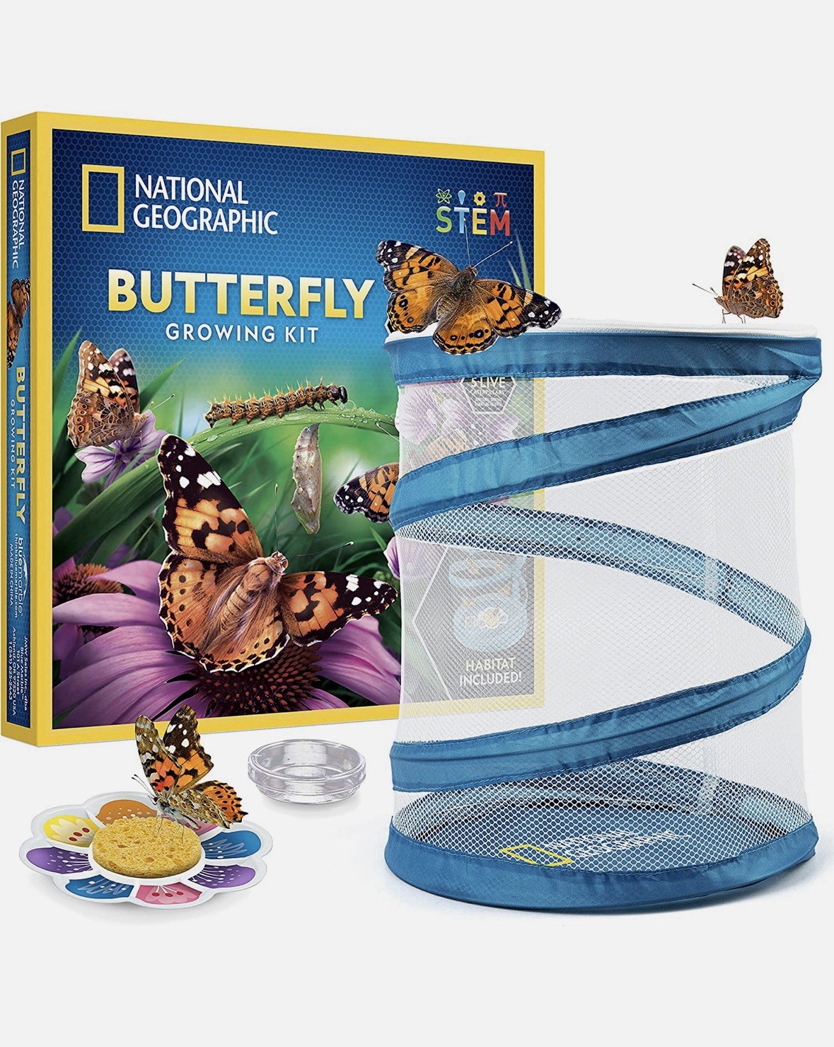 NATIONAL GEOGRAPHIC Butterfly Growing Kit Voucher for 5 Live Caterpillars STEM