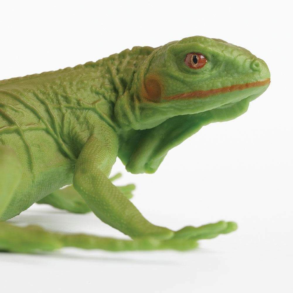 BABY IGUANA Animal Figurine Safari Ltd. toy Incredible Creatures Collection