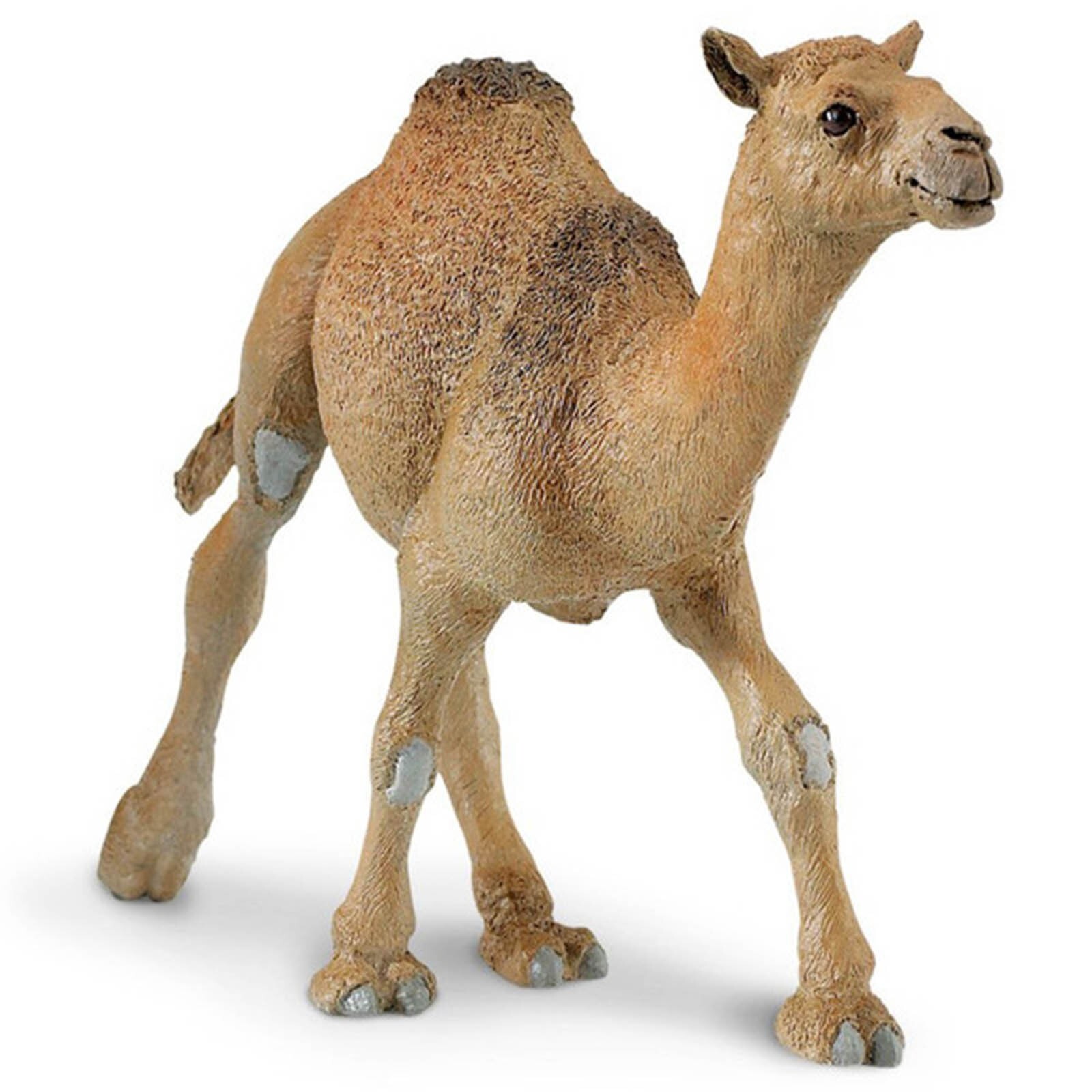 Dromedary Camel Wildlife Figure Safari Ltd NEW