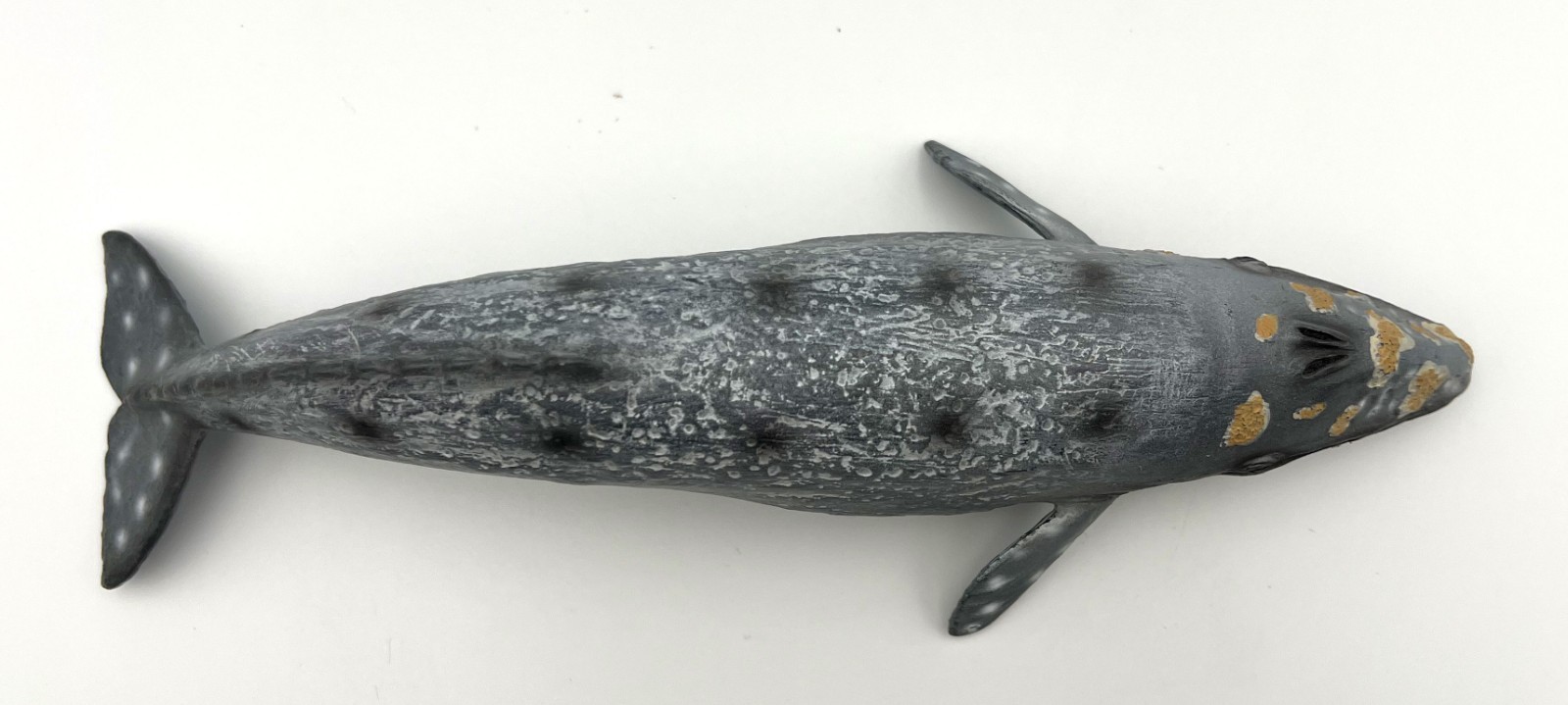 Mojo Grey Whale Figure 2018 Portugal Grauwal 10.5″