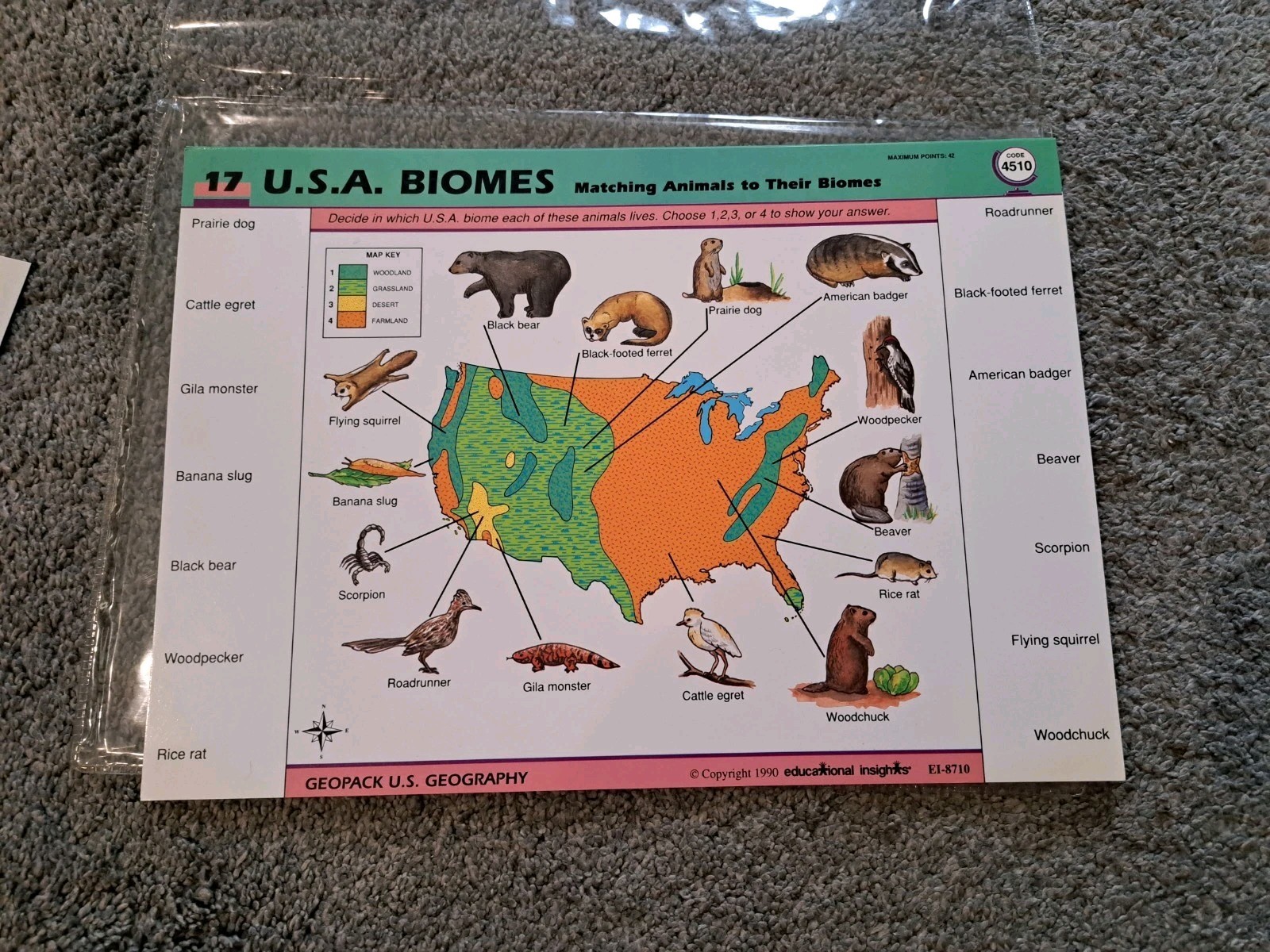 Electronic Geosafari More U. S. Geography Cards 20 Lesson Cards Game