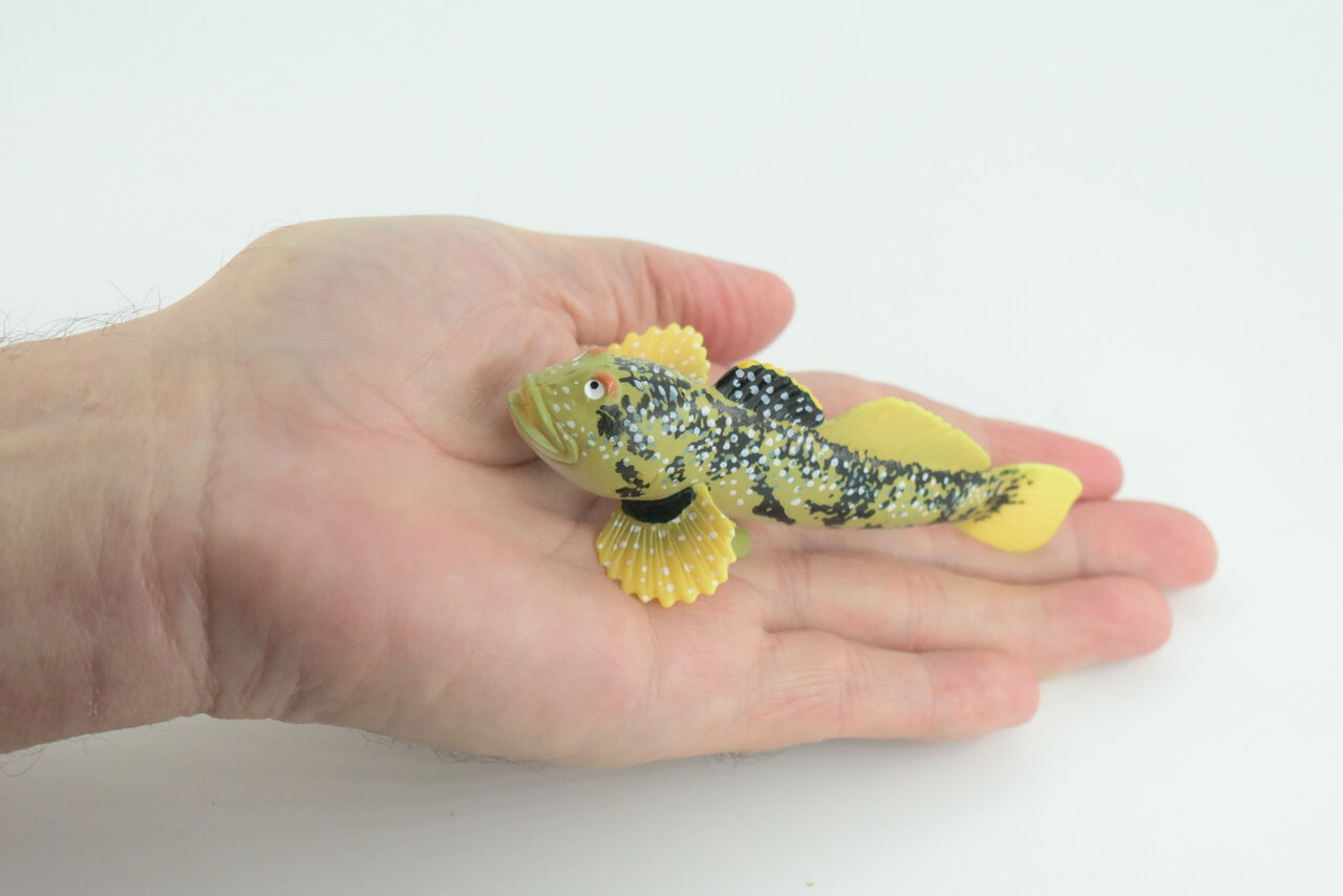 Lingcod Fish Toy, Realistic Hand Painted Rubber Fish Cod, Model 4.5″ CH787 BB185