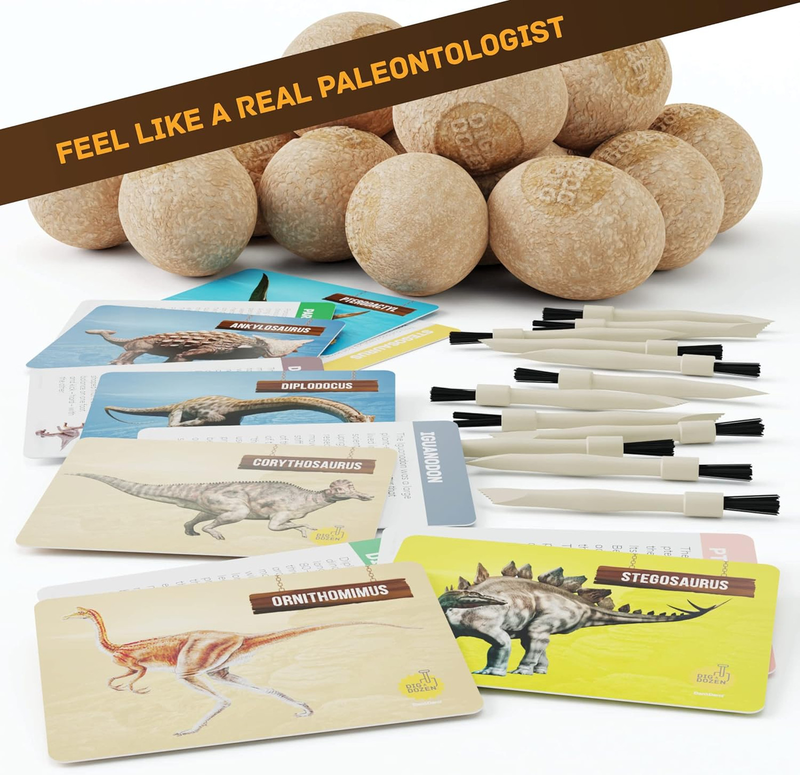 Dinosaur Dig Kit for Kids, 12 Dino Eggs, Fossil Excavation, STEM Science