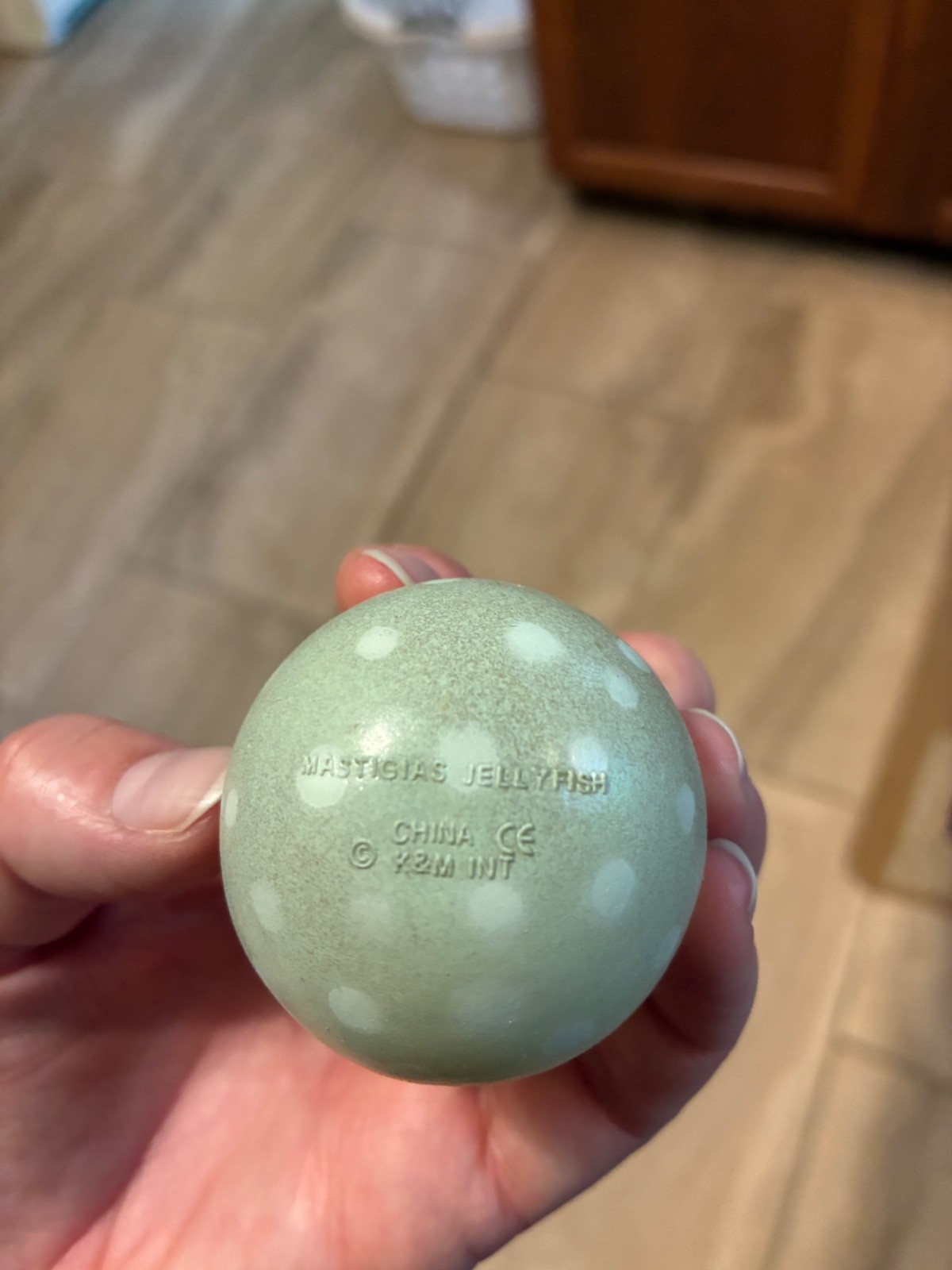 K&M International Jellyfish Lot