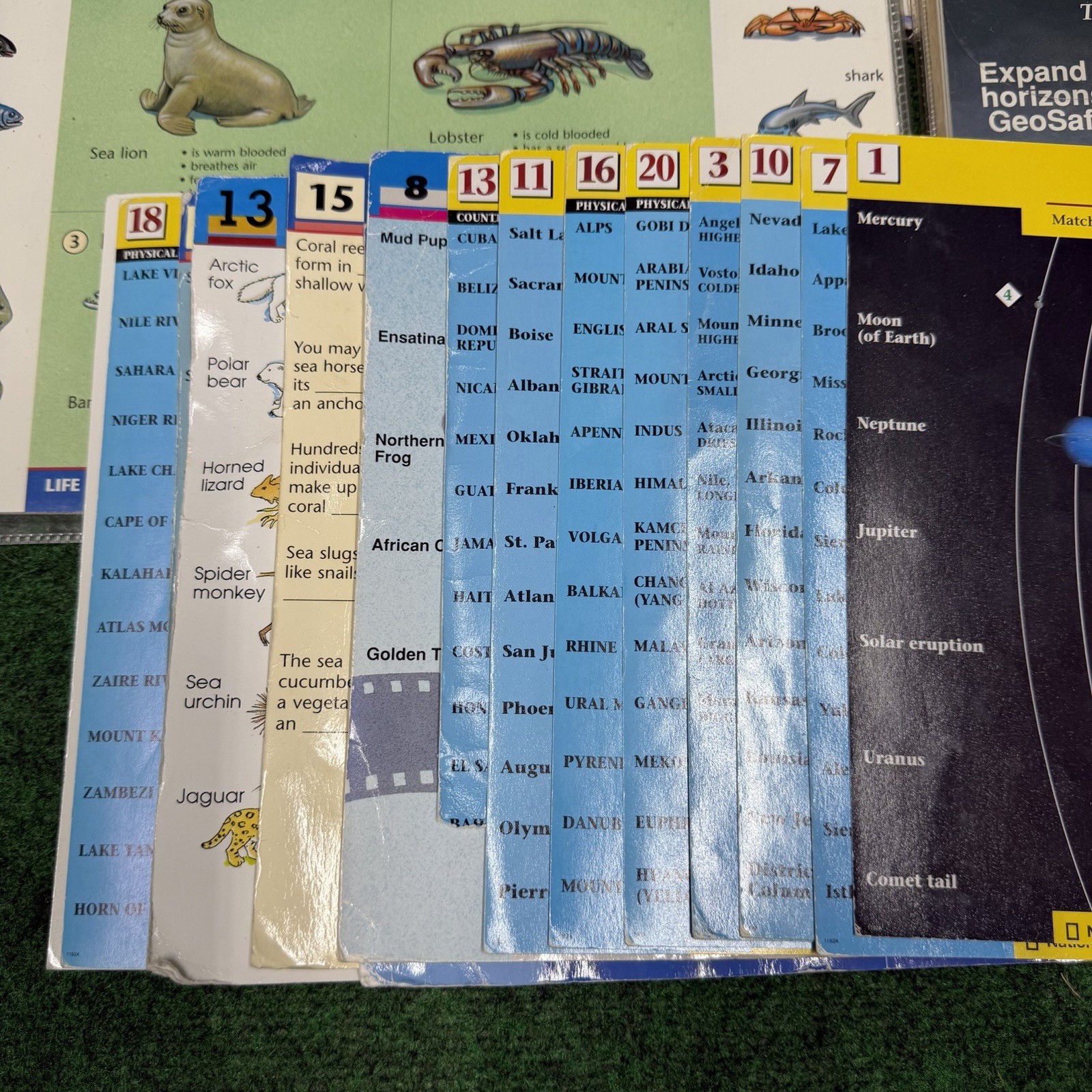 Vintage GeoSafari EI-8800 Electronic Learning Game w/ 80 Cards & Bag – Tested