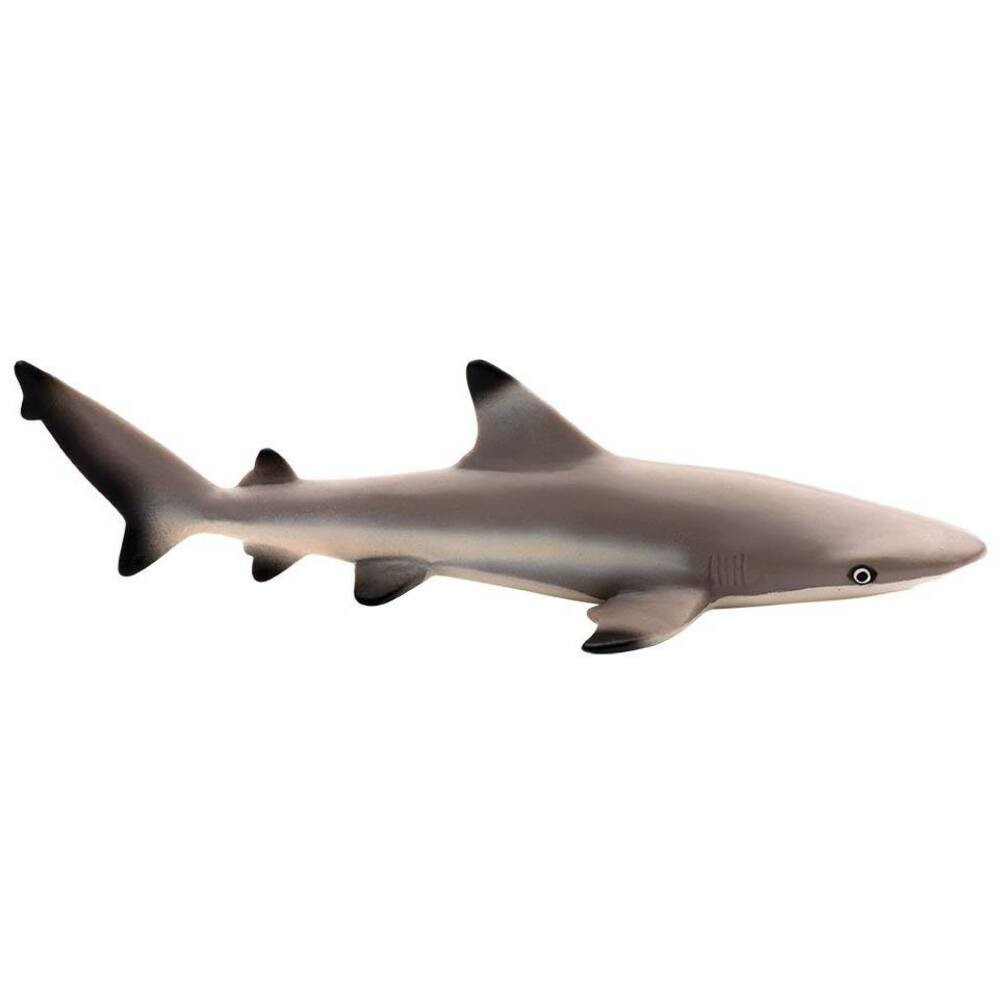 Blacktip Reef Shark Sea Life Figure Safari Ltd