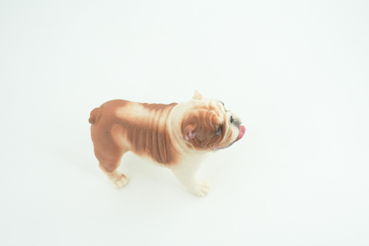English Bulldog Toy, Realistic Hand Painted Rubber Model, 5 Inches CH844 BB197