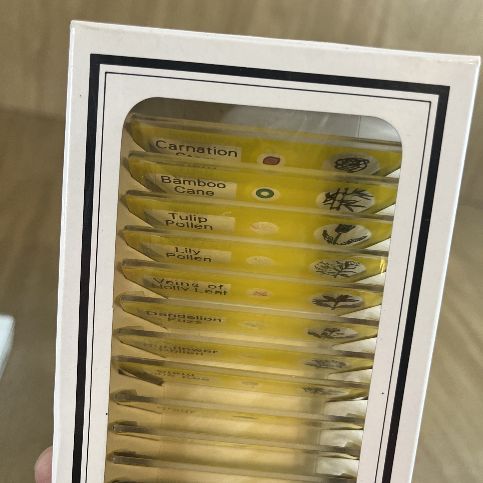 Prepared Microscope Slides 24 Professional Type Insect & Plant Parts