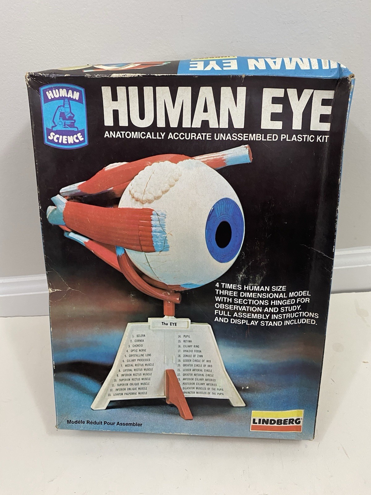 1982 LINDBERG Human Eye Anatomically Accurate UNASSEMBLED Plastic Model Kit 1336