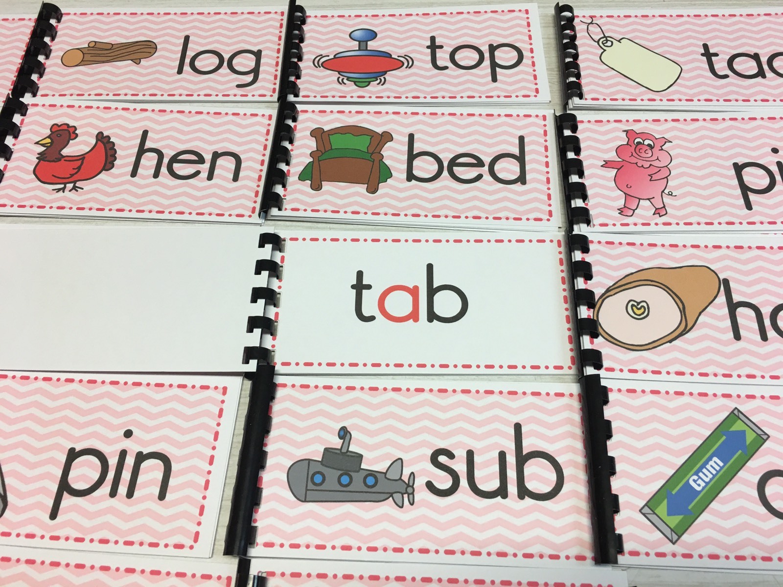 NEW Montessori Materials -The Pink Series – 24 CVC Word Families Booklets Pre-K