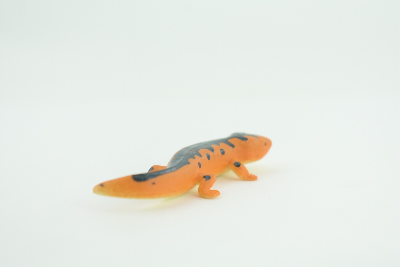 Eastern Orange Newt, Toy Lizard, Hand Painted Rubber, Realistic 2.5″ WR38 B197