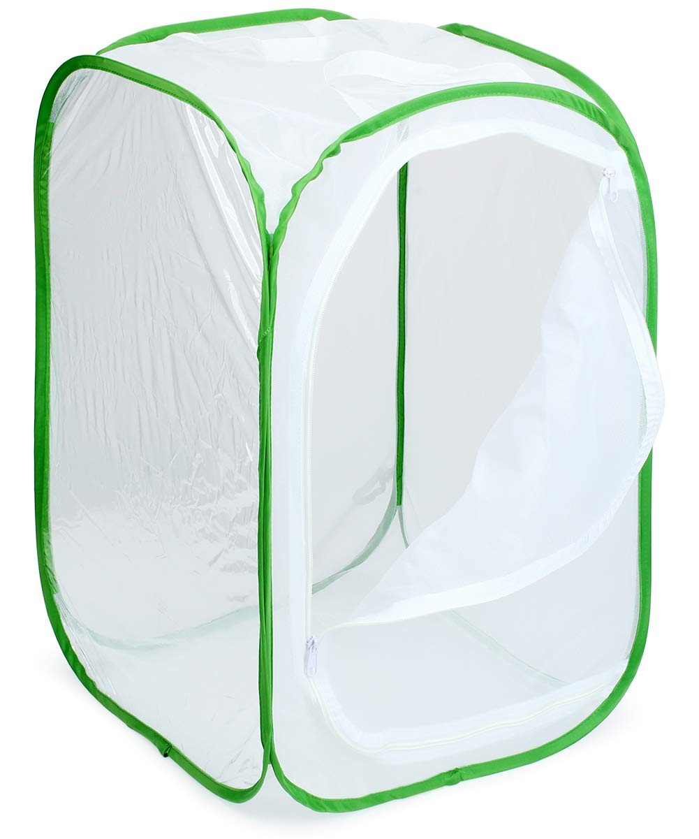 RESTCLOUD Professional Butterfly Habitat 15.7 x x 23.6 inches, Green