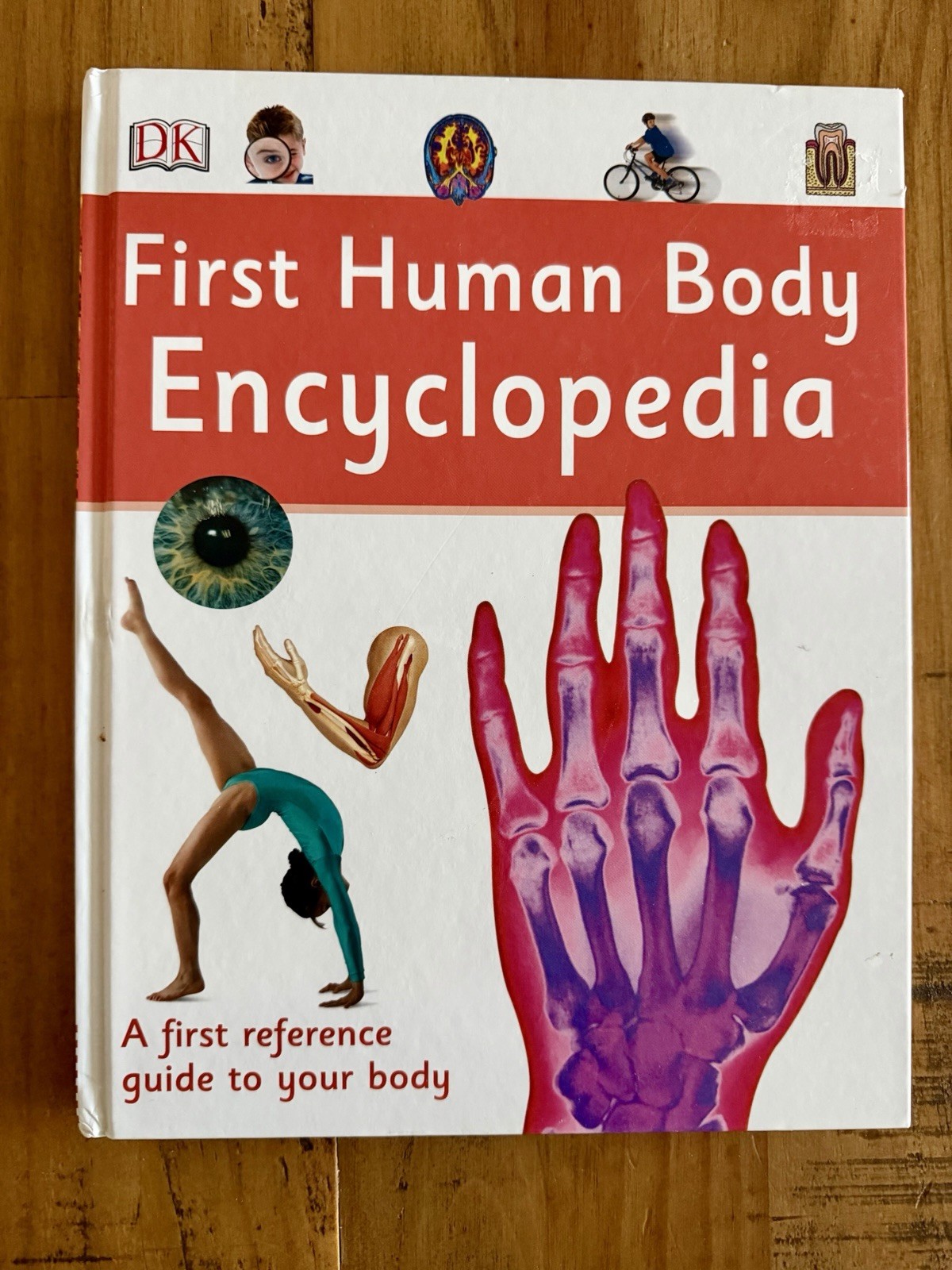 Body Human Body learning For Children Set Of 3 Montessori Hands on Learning