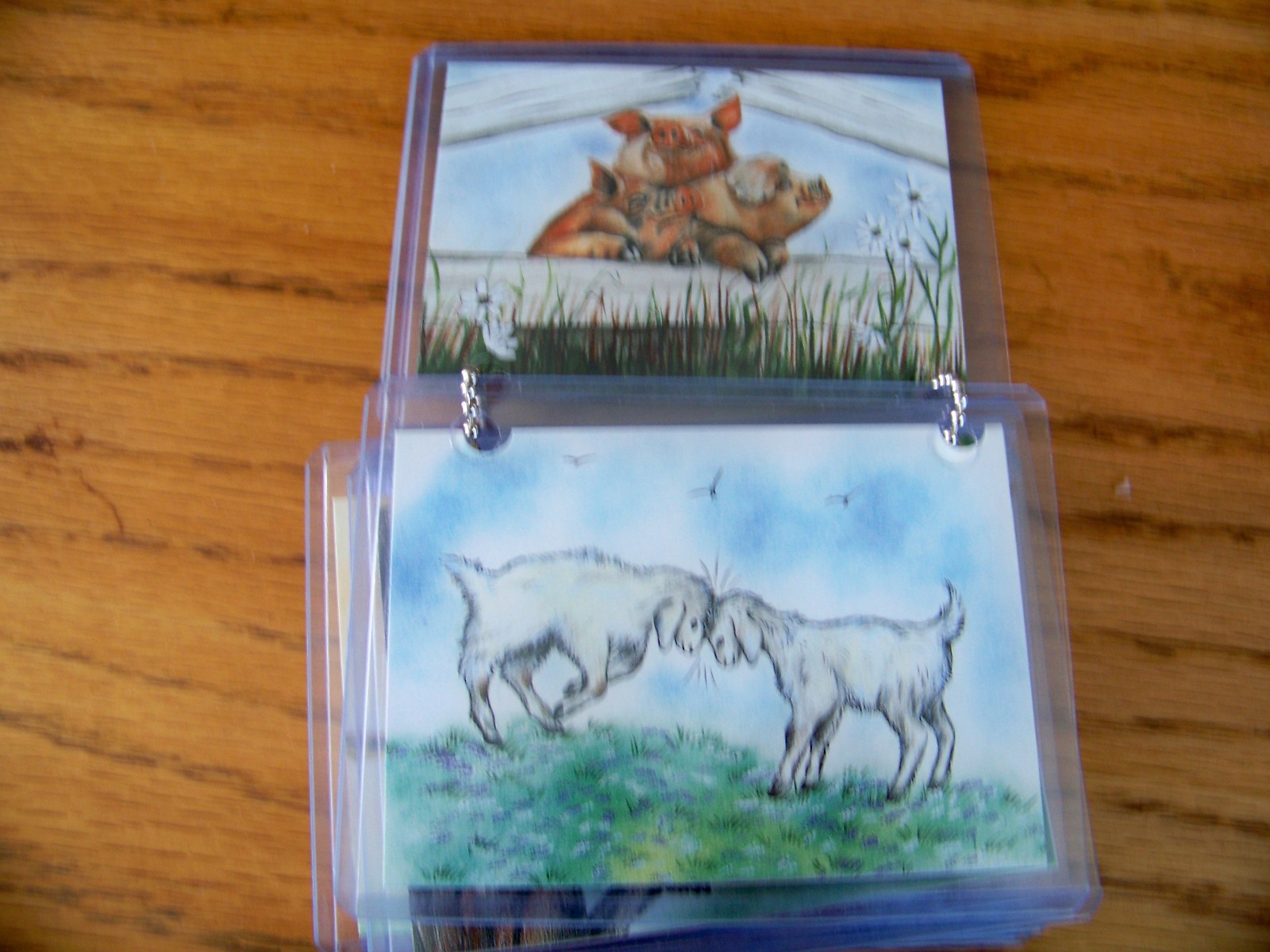 Children’s: Animals, Birds, Pet, Horse, Cats, Dog And Nature Cards In Plastic