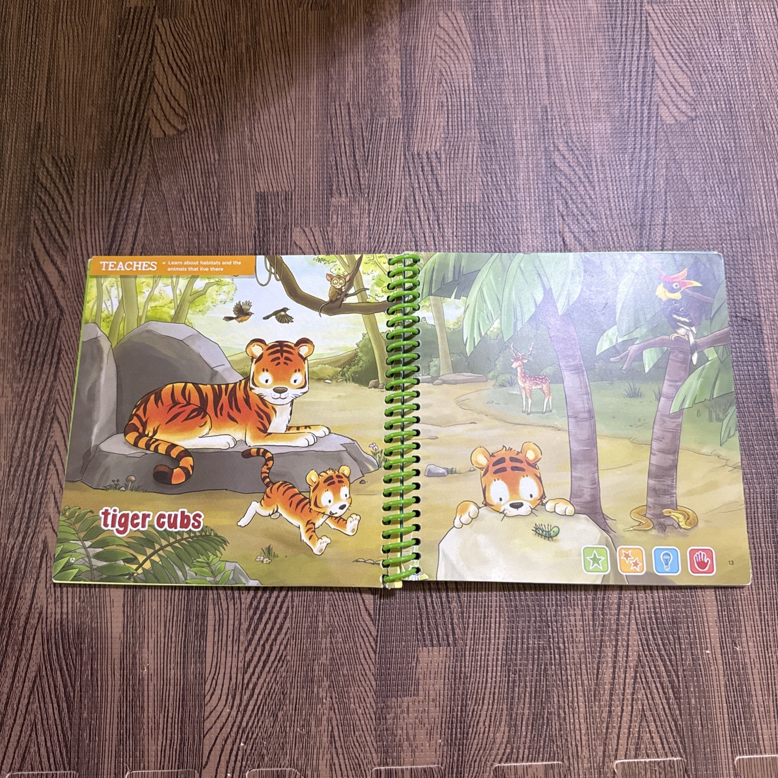 LeapFrog Leap Start Preschool book — THE WORLD OF BABY ANIMALS