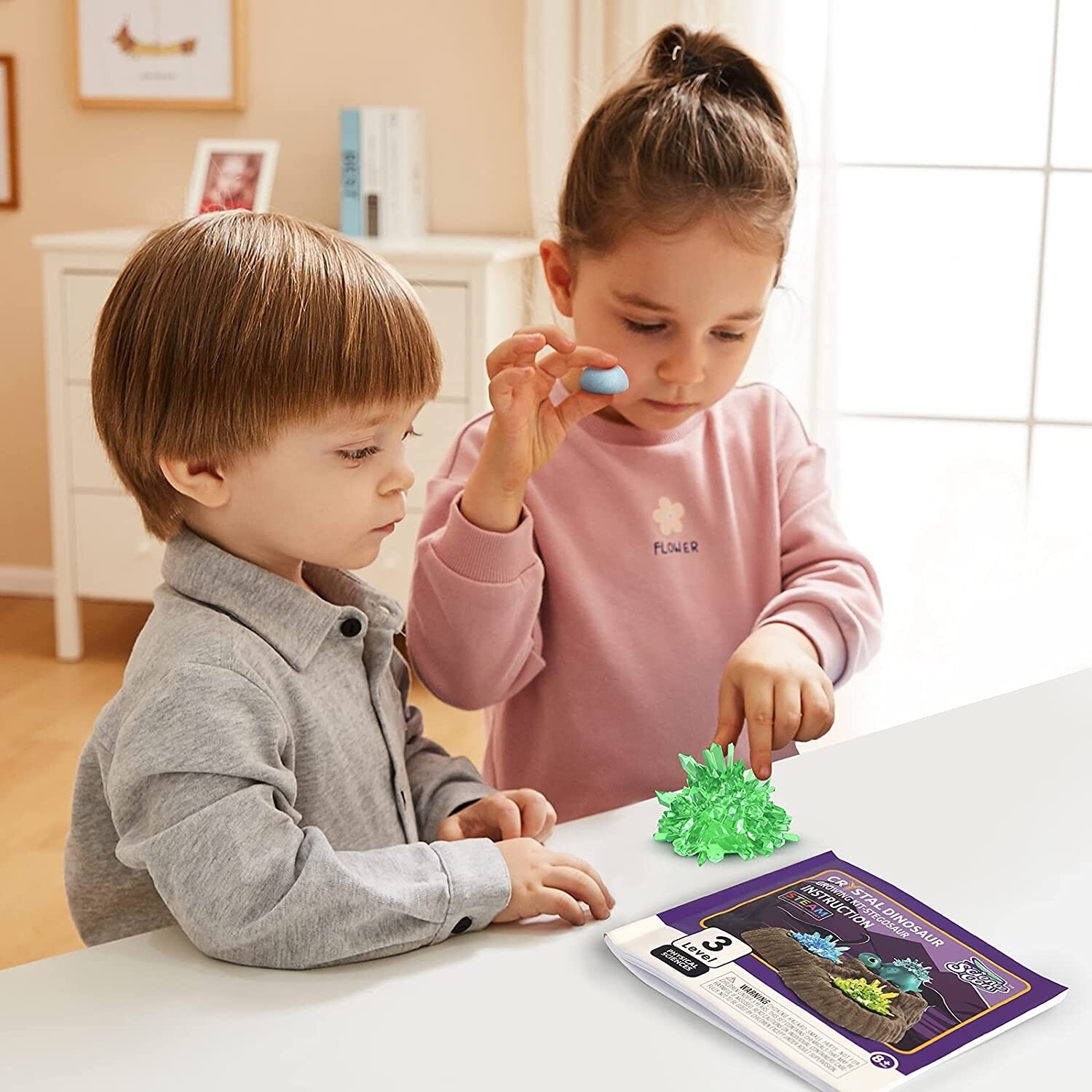 Science Can Crystal Dinosaur Growing Kit Stegosaur Great STEM Activities 8-12 yr