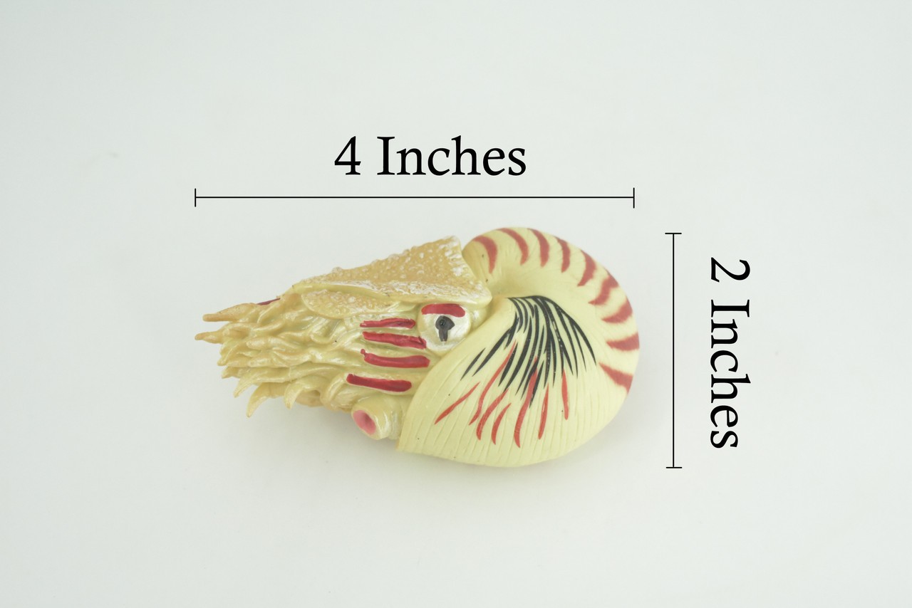 Nautilus Toy, Museum Quality, Hand Painted Rubber Gifts, 4 Inches. CH1009 BB217