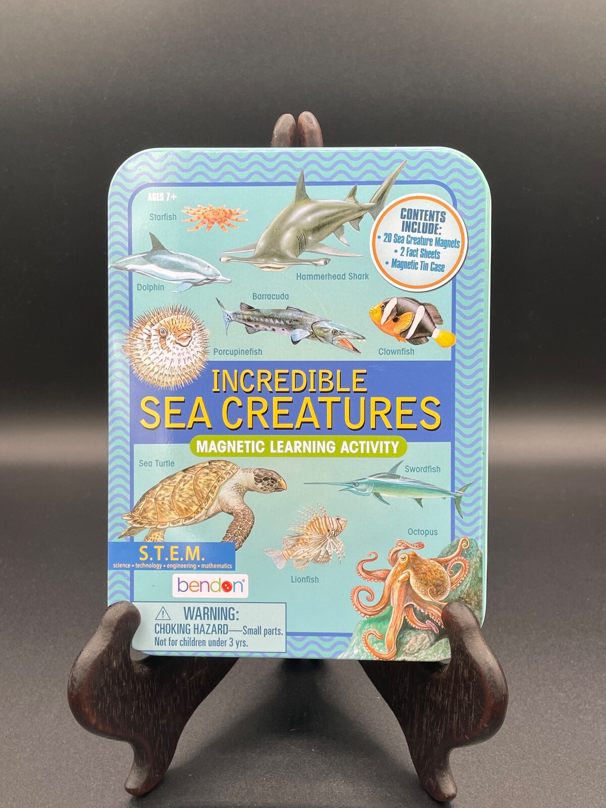 Magnetic Learning Activity S.T.E.M. Educational, Set of 3