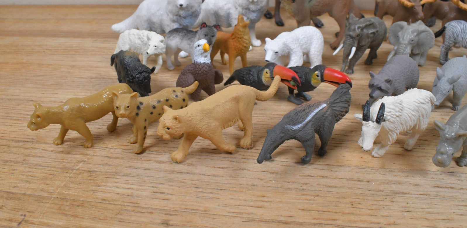 (55) Safari LTD Animal Figures 5.5″ to 2″ in Size
