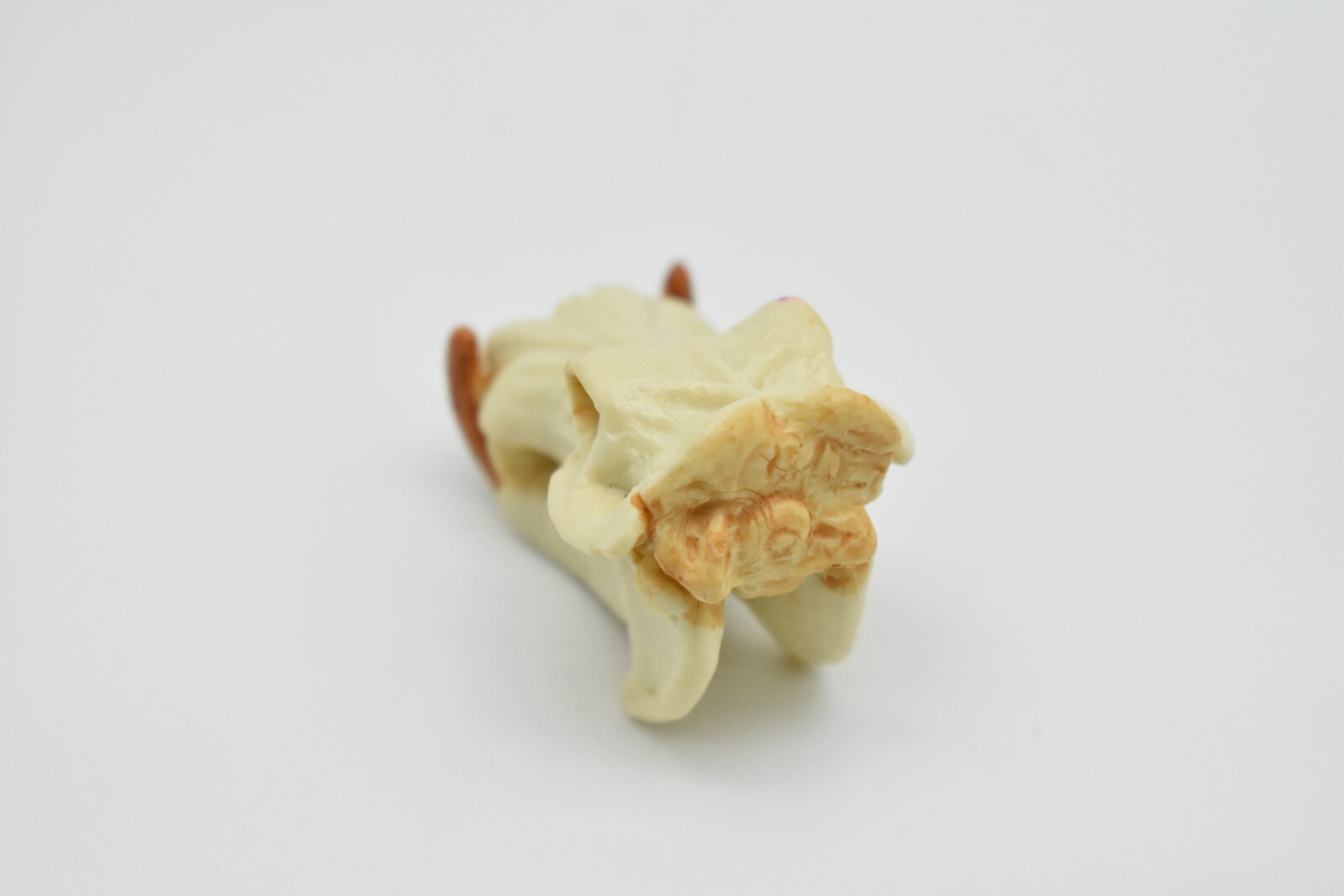 Hippo Skull, Hippopotamus Toy, Realistic Plastic Model 2 inches long