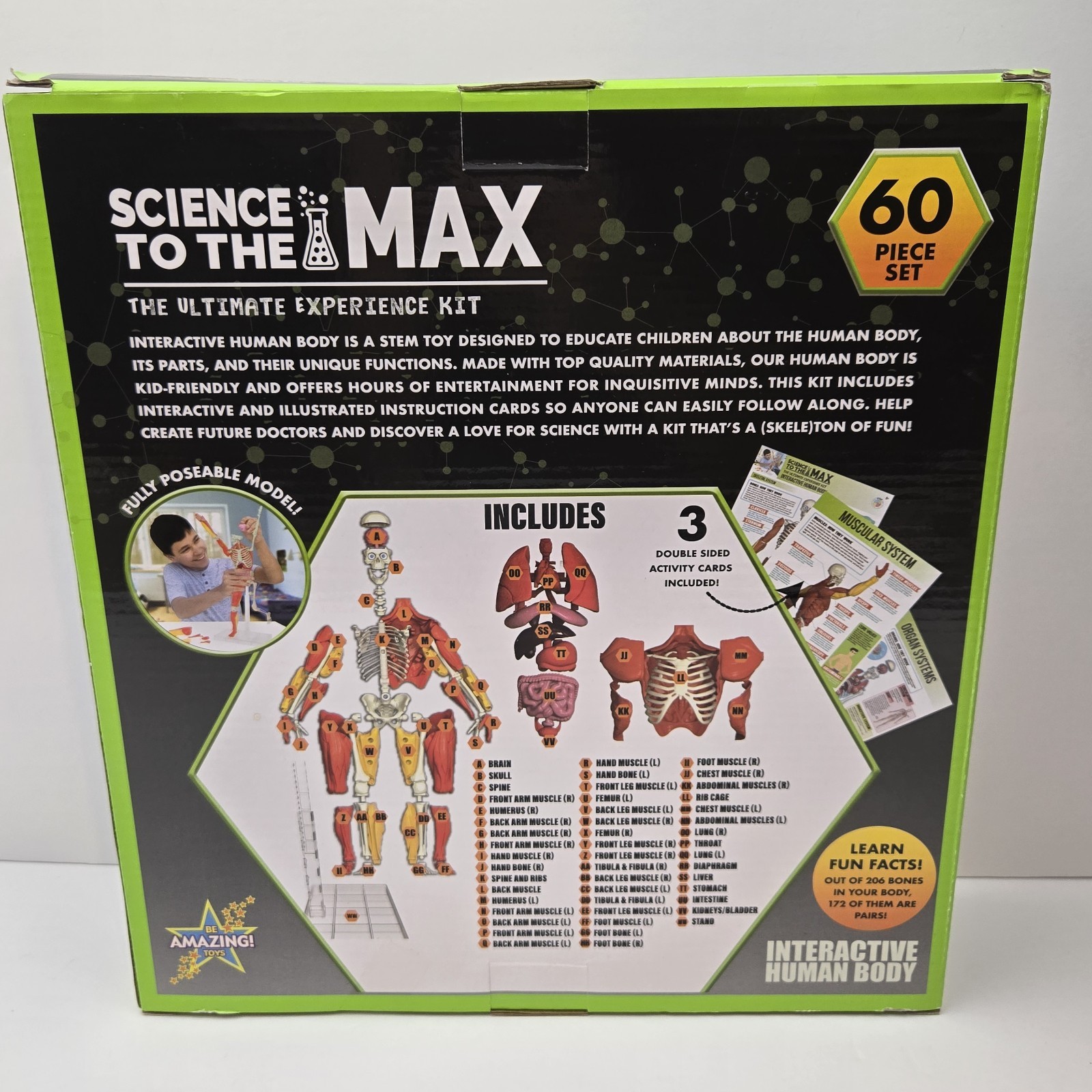 3D Human Body Puzzle Model STEM Toy by Be Amazing! Toys is an educational design