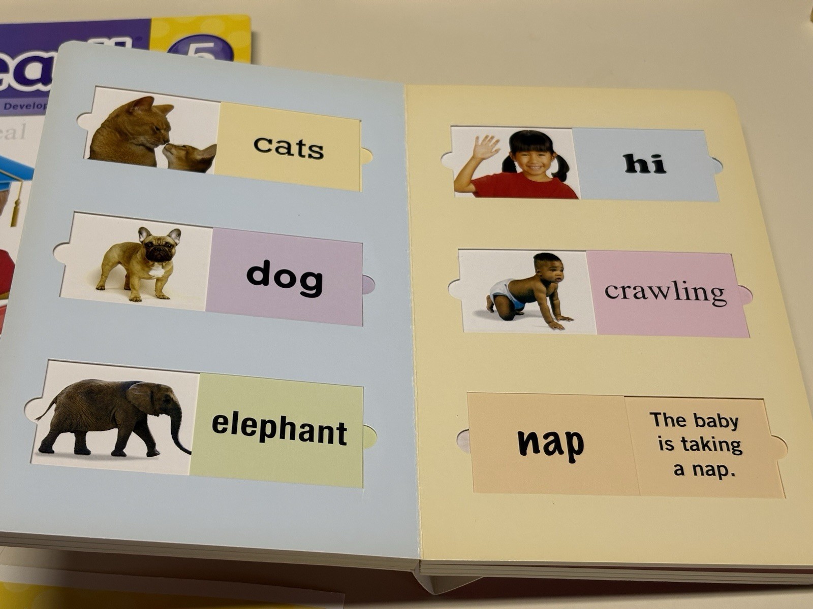 Your Baby Can Read Early Language Development System Infants-Children Books/DVD