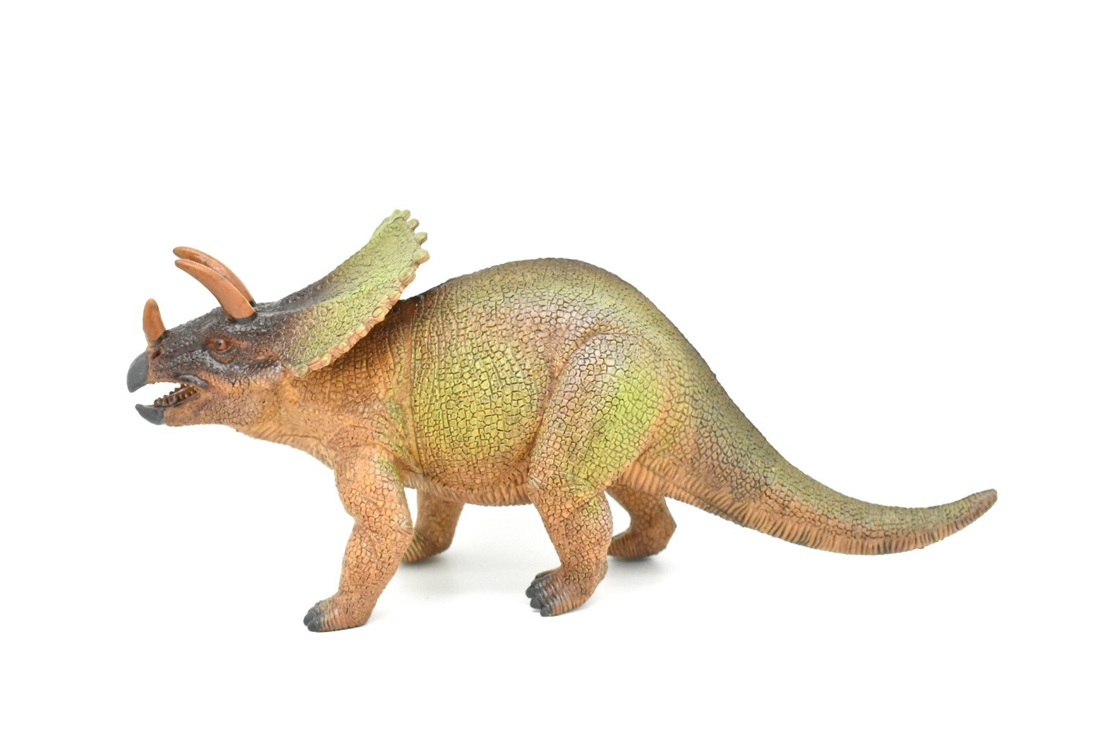Triceratops Toy, Dinosaur Model, Realistic Plastic Replica, 14″ CWG157 BB33